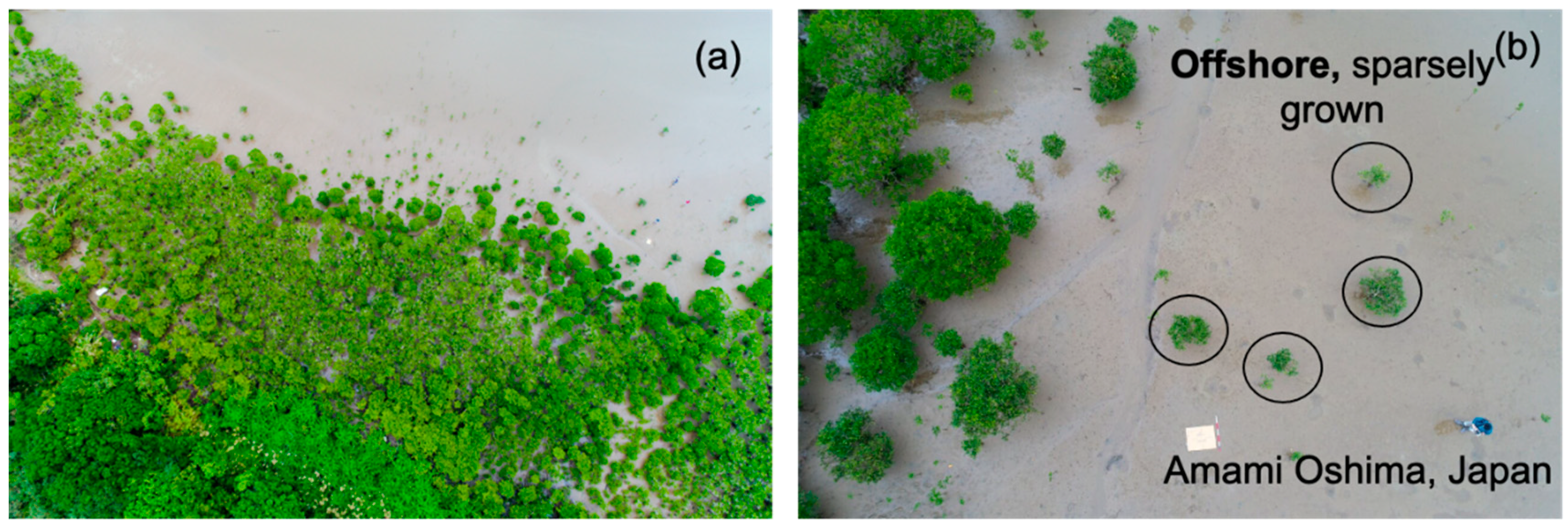 Ijerph 18 00590 g005