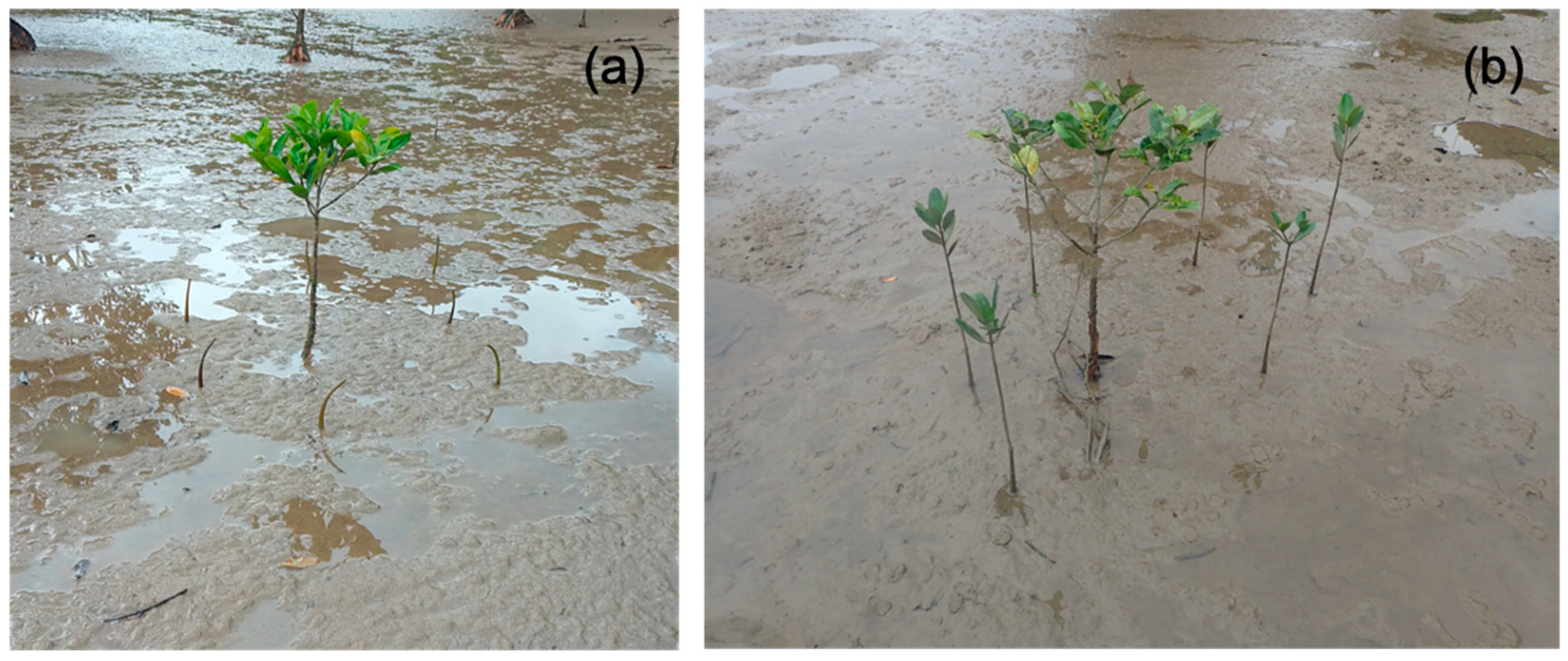 Ijerph 18 00590 g006