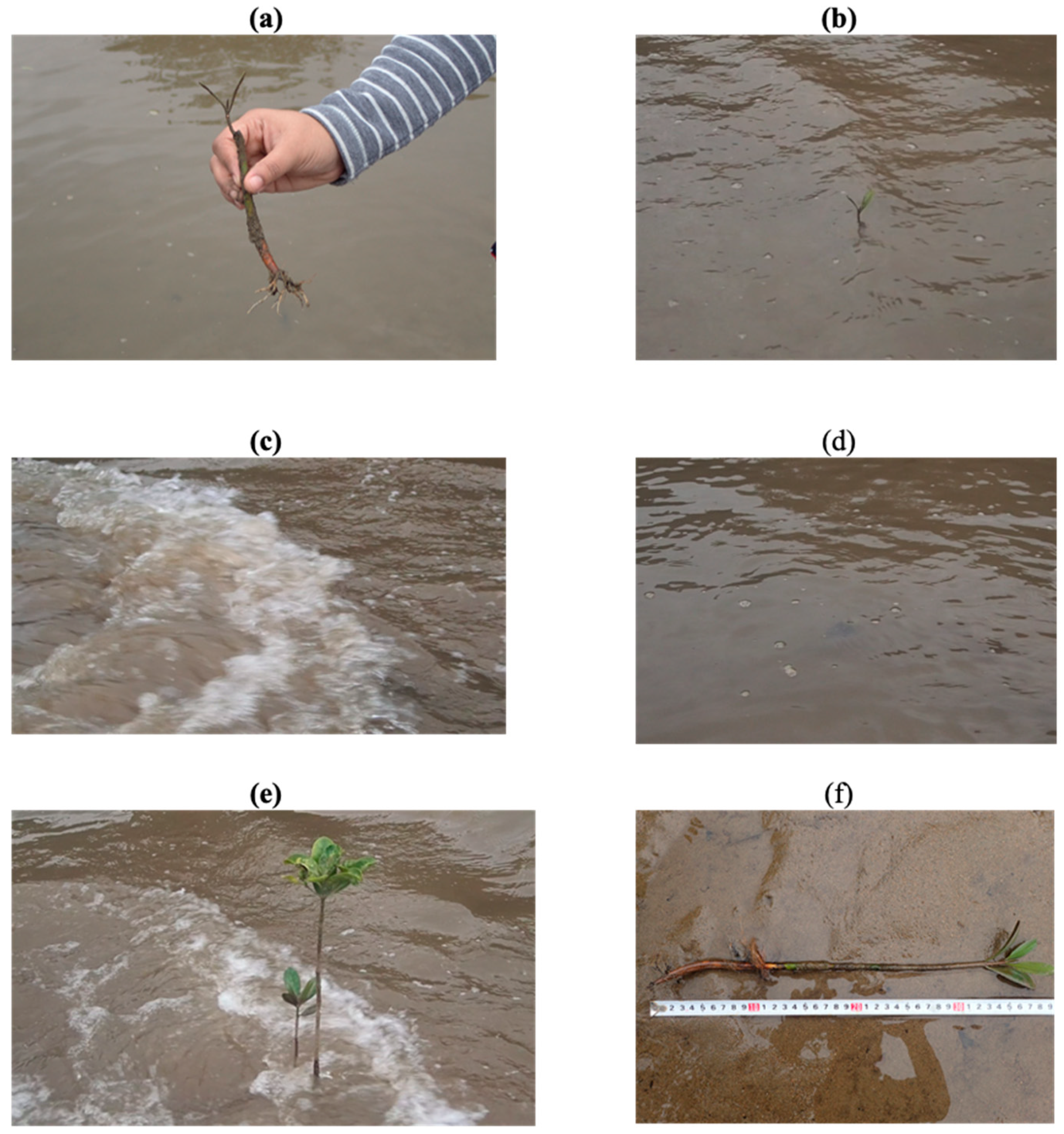 Ijerph 18 00590 g009