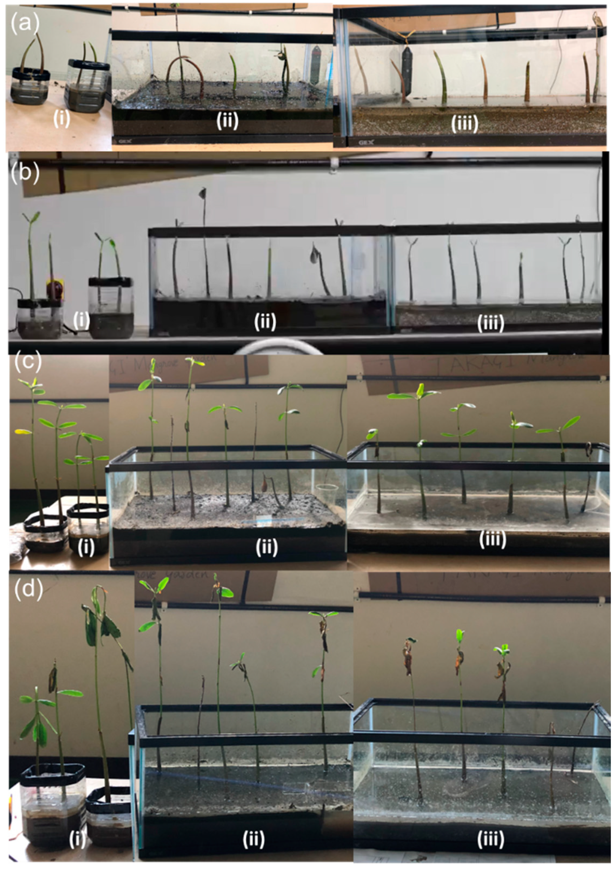 Ijerph 18 00590 g011