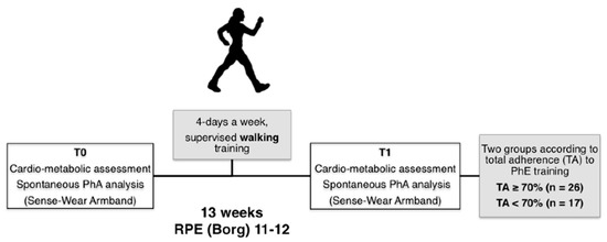 projektor social Trænge ind IJERPH | Free Full-Text | Effect of Adherence to Physical Exercise on  Cardiometabolic Profile in Postmenopausal Women | HTML