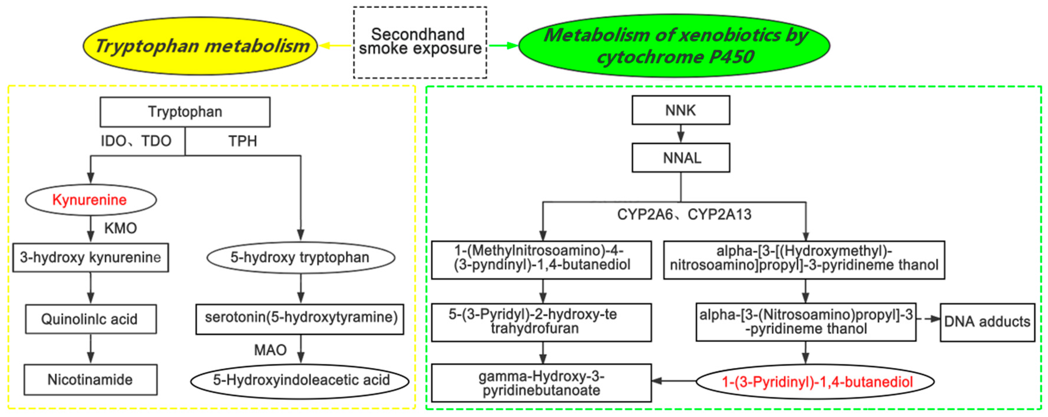 Ijerph 18 00710 g005