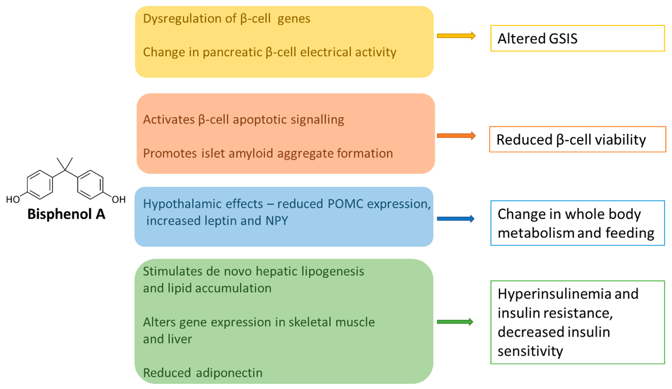 Ijerph 18 00716 g002 Ijerph 18 00716 g002