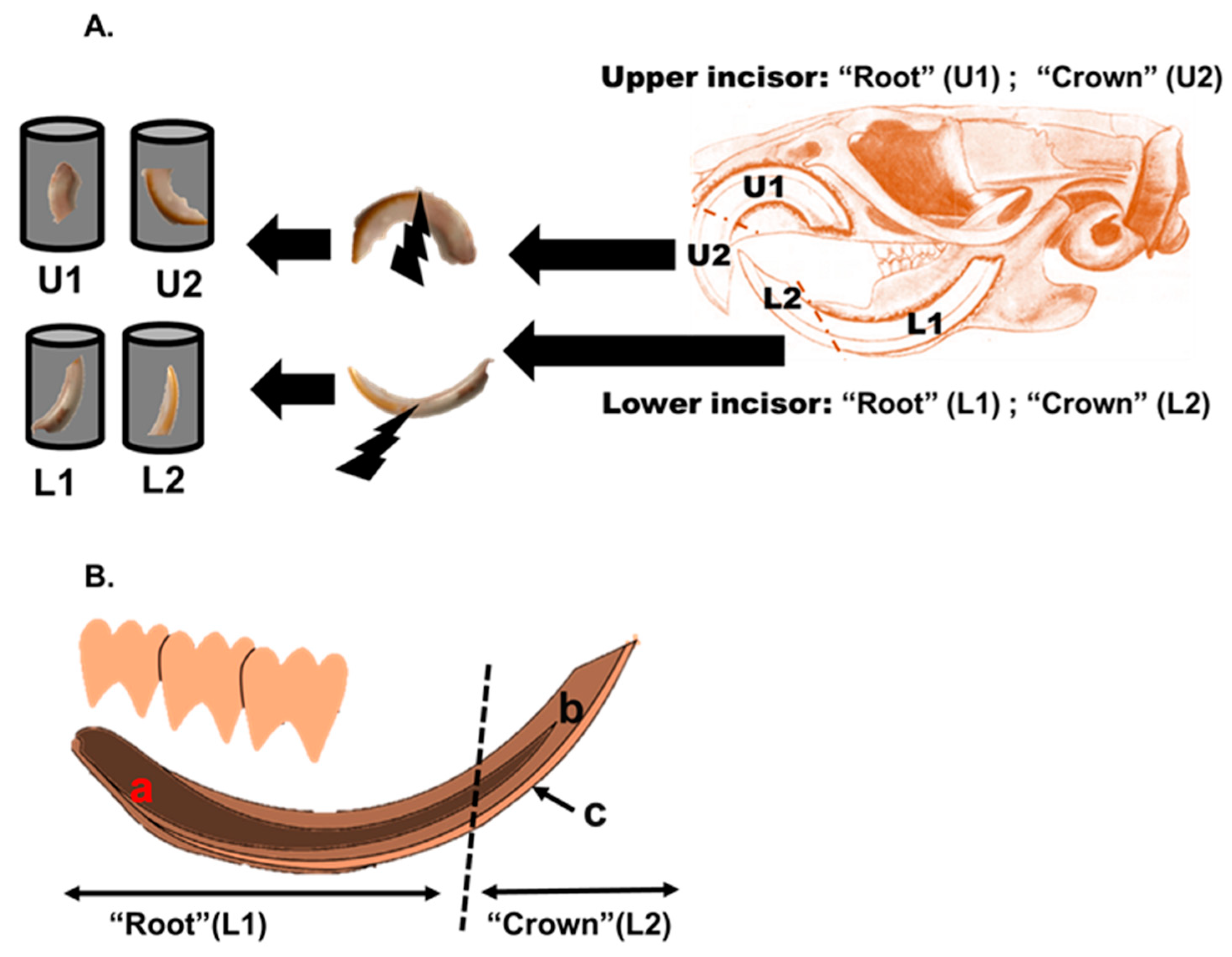 Ijerph 18 00767 g002 Ijerph 18 00767 g002