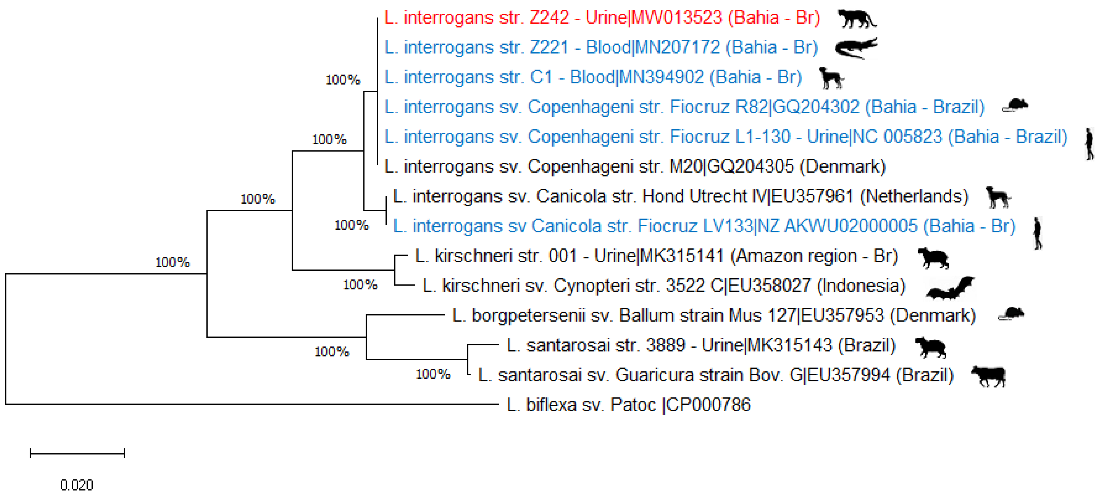 Ijerph 18 00793 g001