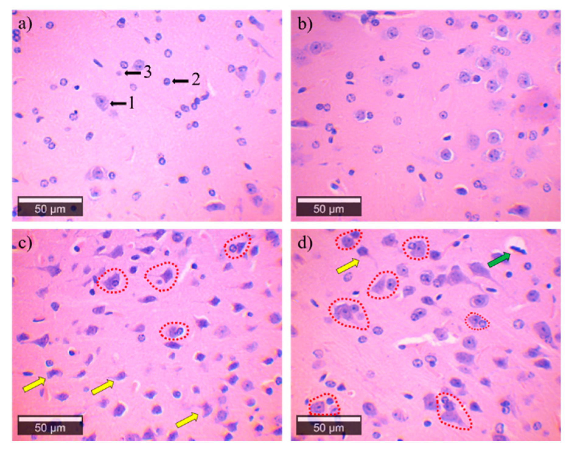 Ijerph 18 00805 g004 Ijerph 18 00805 g004