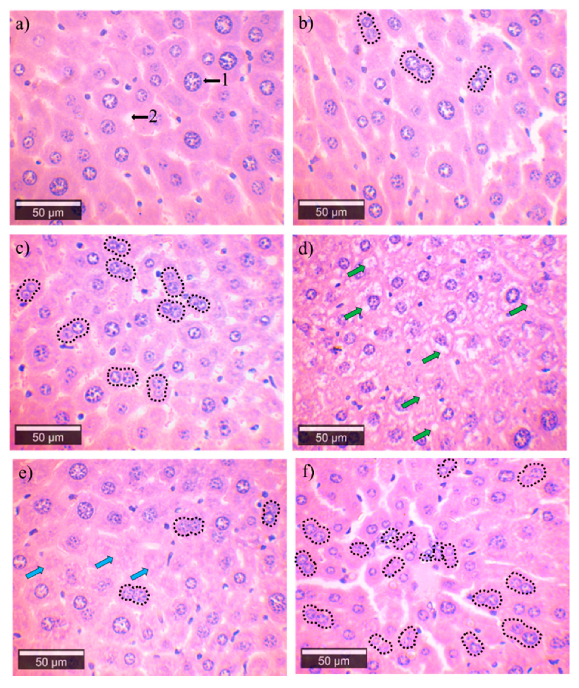 Ijerph 18 00805 g005 Ijerph 18 00805 g005