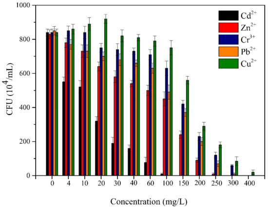 Bioremediation of Petroleum Hydrocarbons Using Acinetobacter