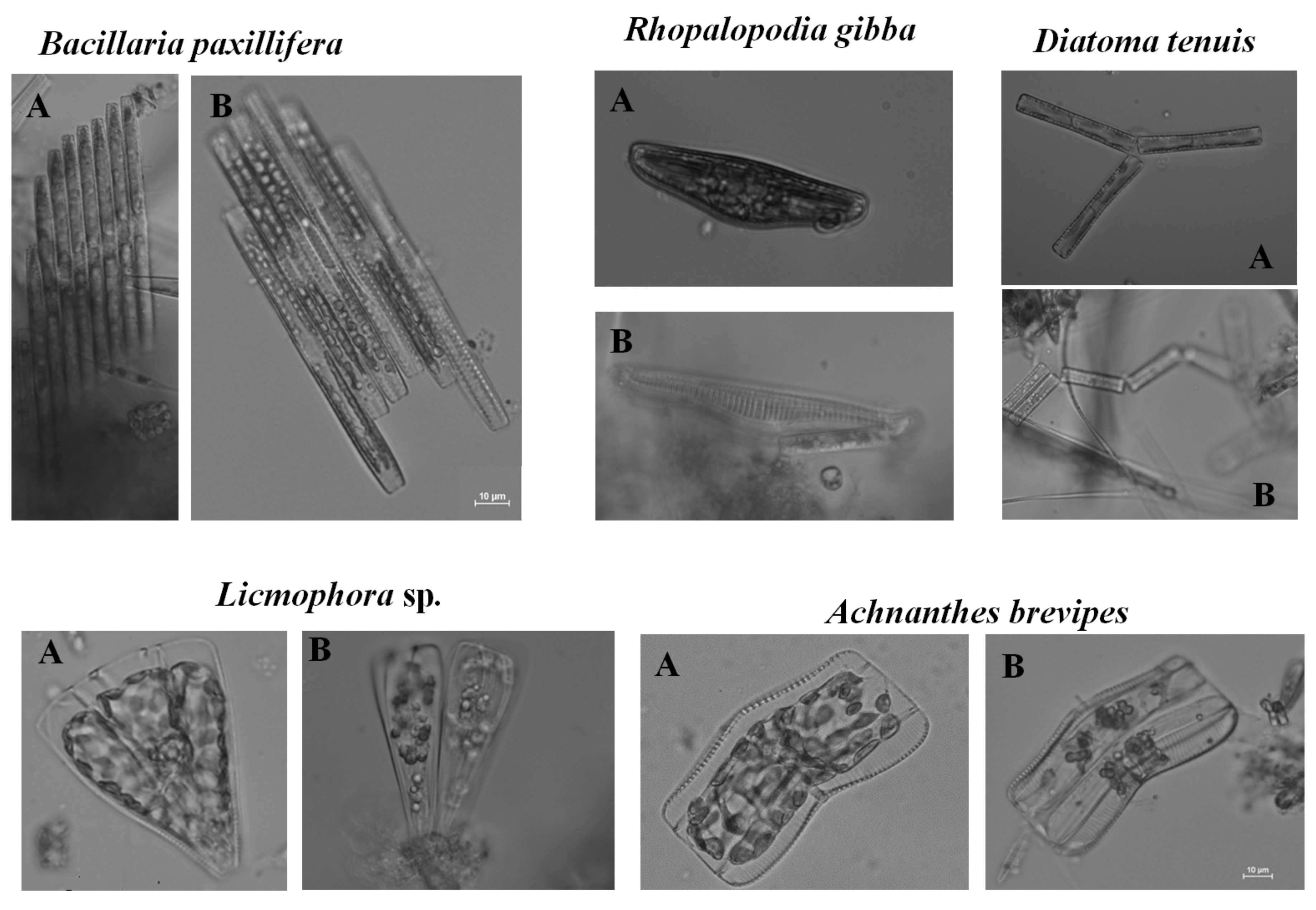 Ijerph 18 00884 g002