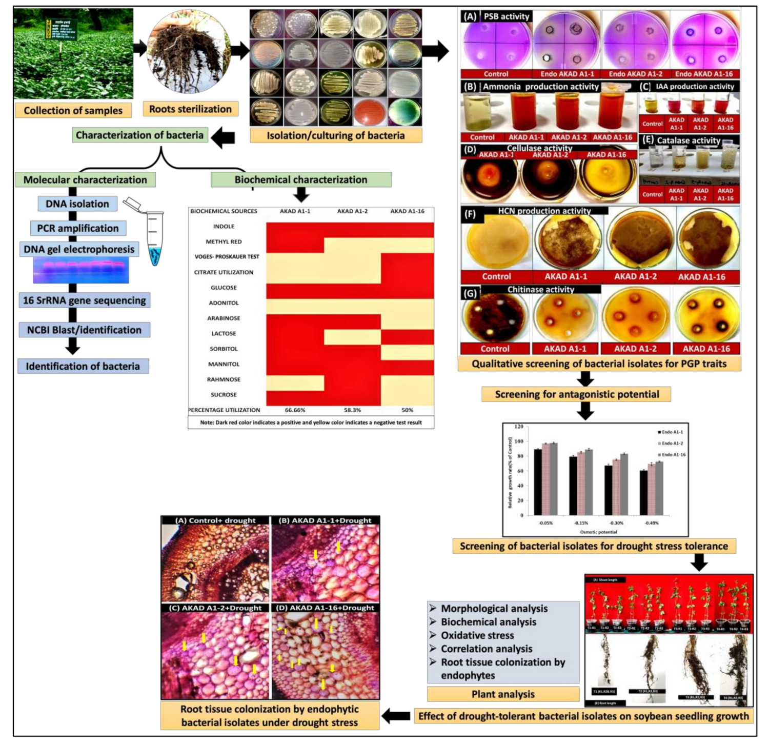 Ijerph 18 00931 g001 Ijerph 18 00931 g001