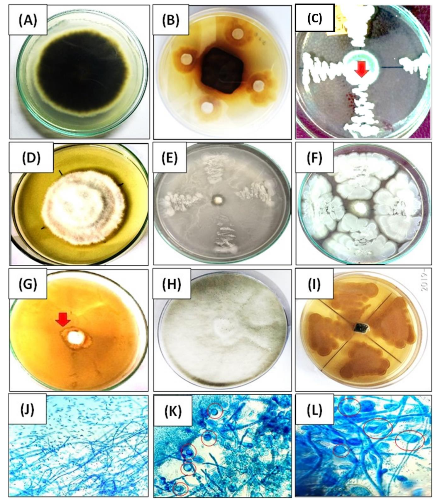 Ijerph 18 00931 g005 Ijerph 18 00931 g005