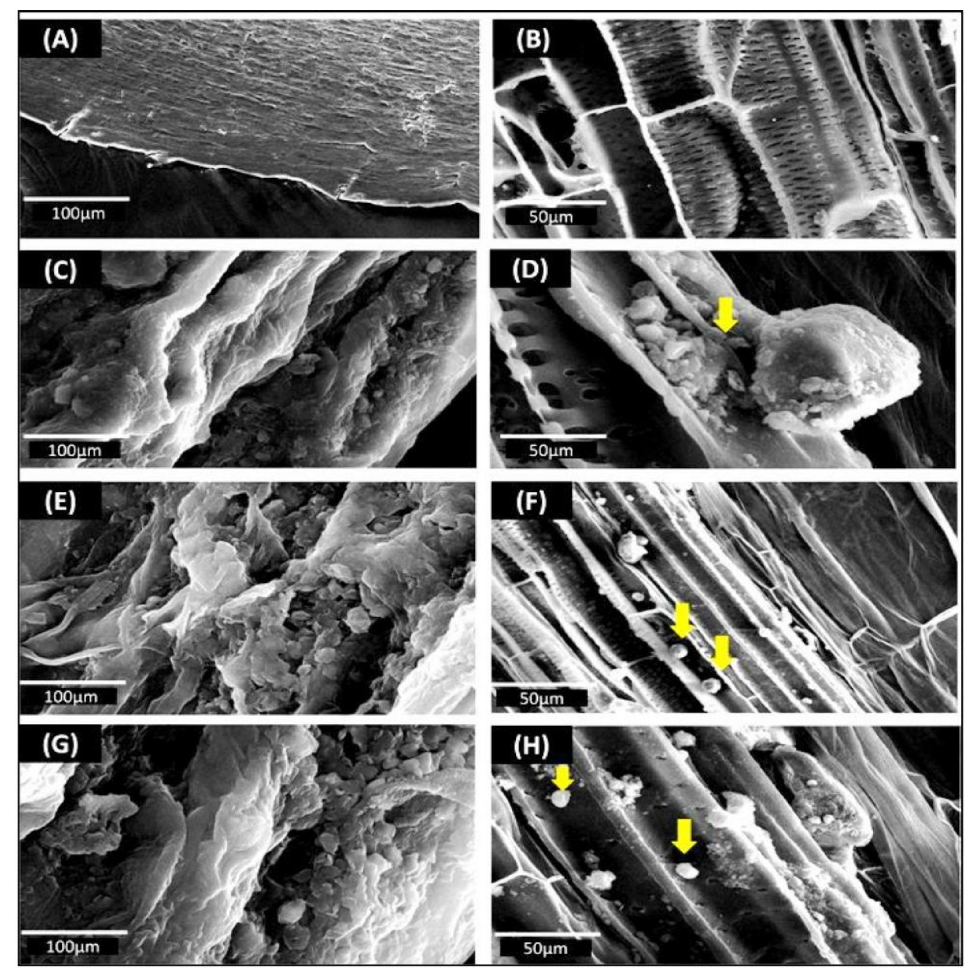 Ijerph 18 00931 g006 Ijerph 18 00931 g006