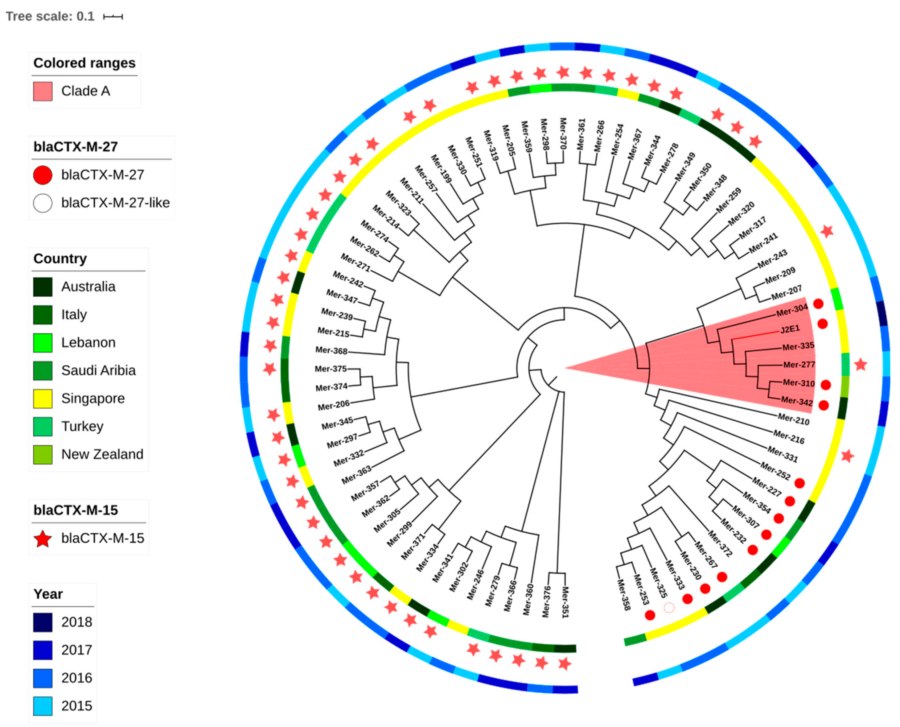 Ijerph 18 00937 g001 Ijerph 18 00937 g001