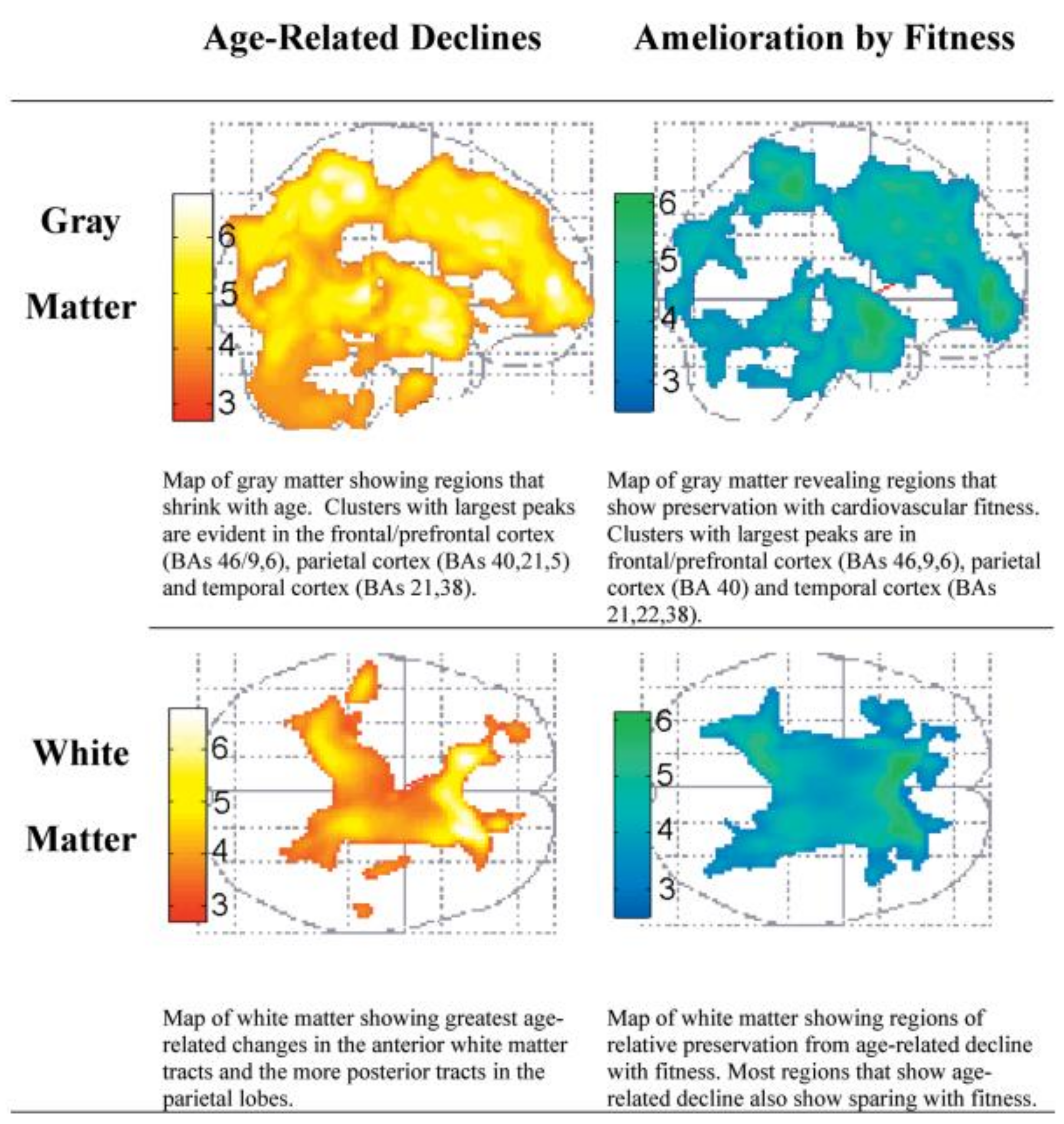 Ijerph 18 00962 g004 Ijerph 18 00962 g004