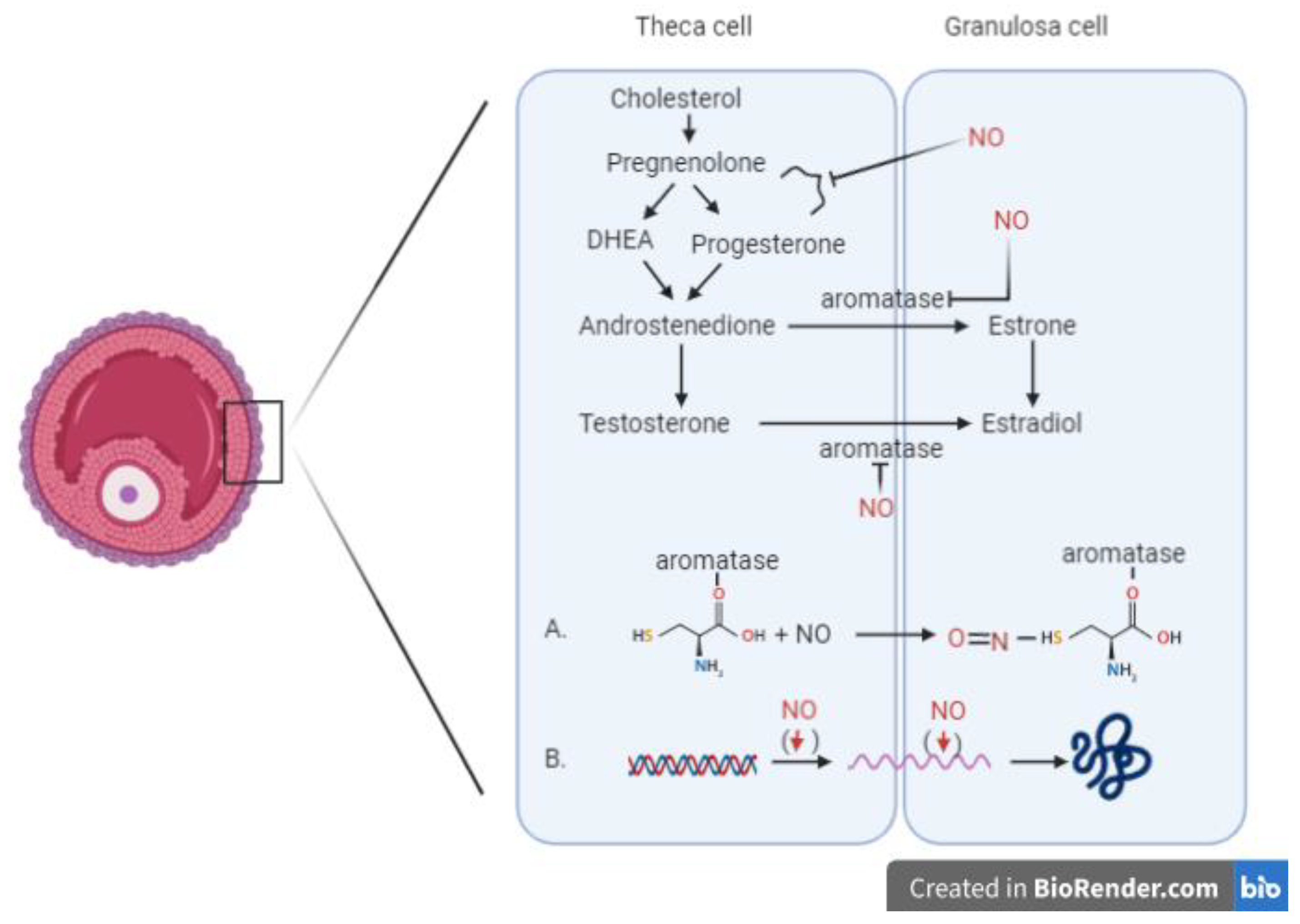 Ijerph 18 00980 g001