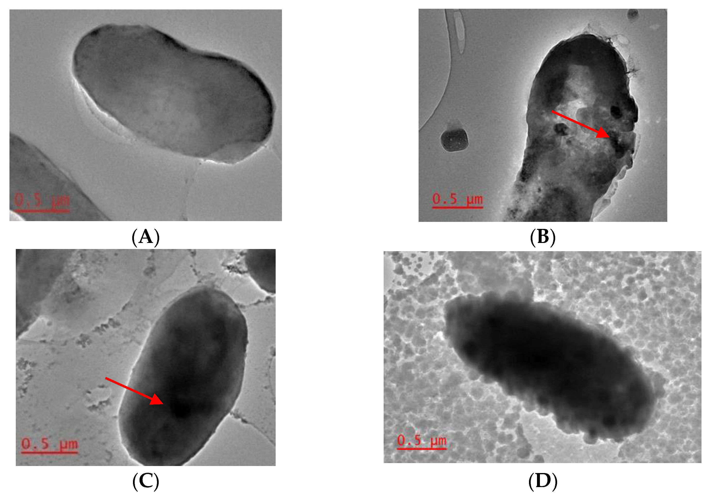 Ijerph 18 00997 g001 Ijerph 18 00997 g001