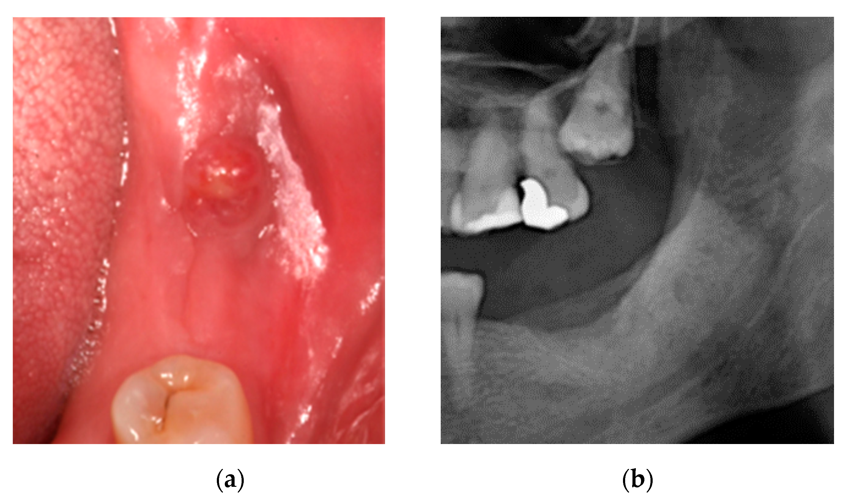 Ijerph 18 01018 g003 Ijerph 18 01018 g003