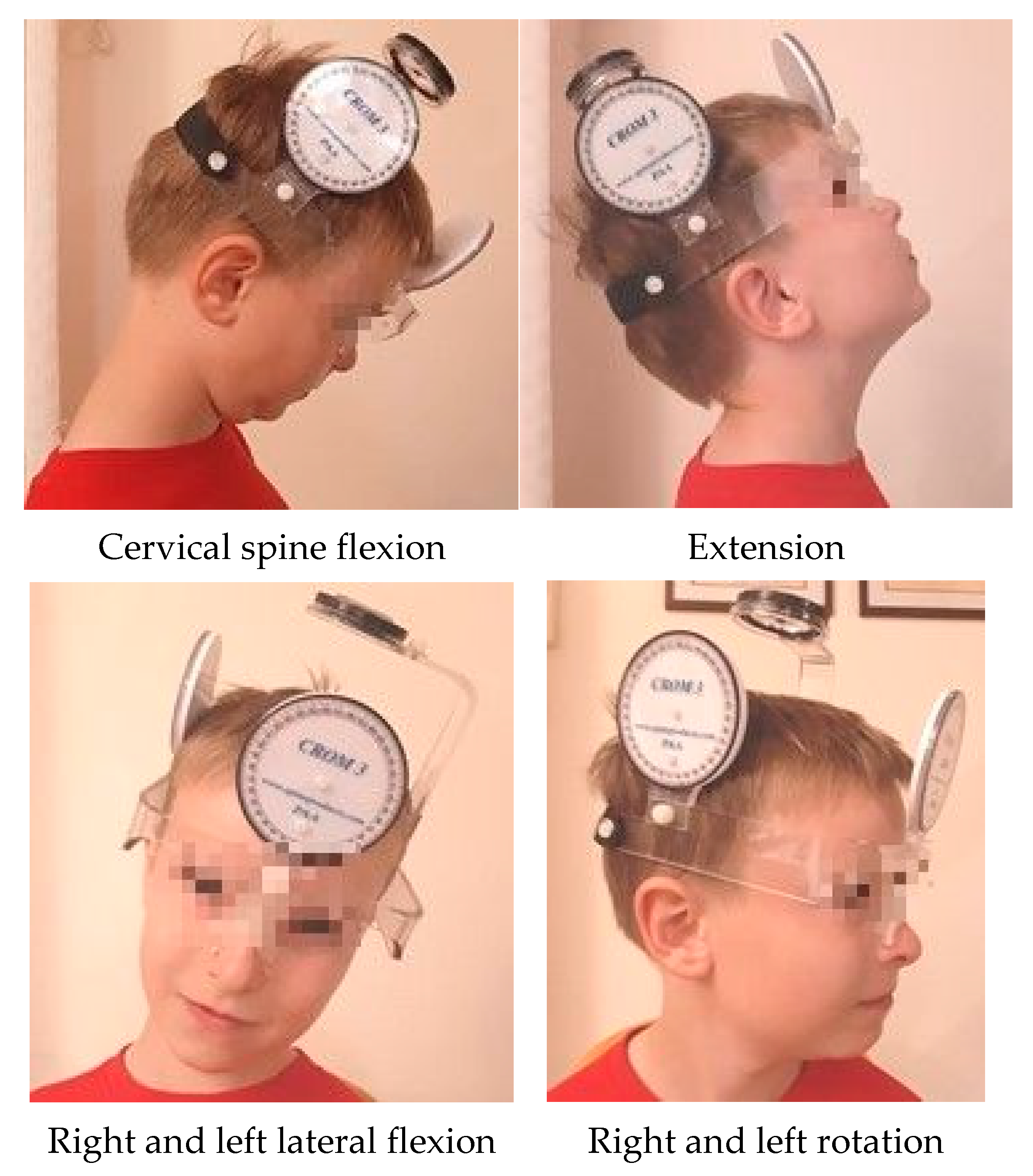 Ijerph 18 01076 g001 Ijerph 18 01076 g001