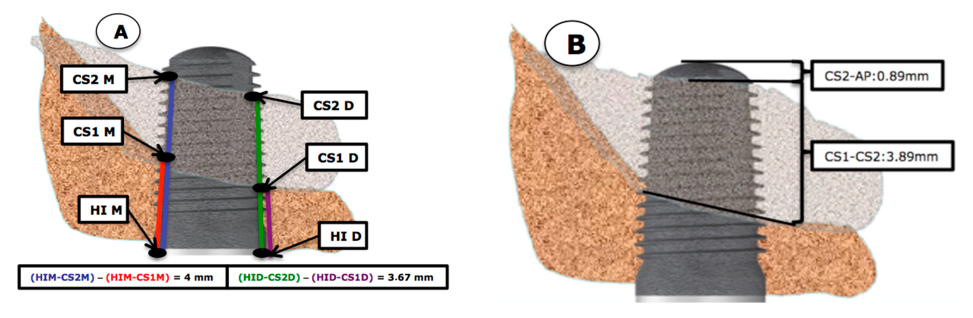 Ijerph 18 01103 g002 Ijerph 18 01103 g002