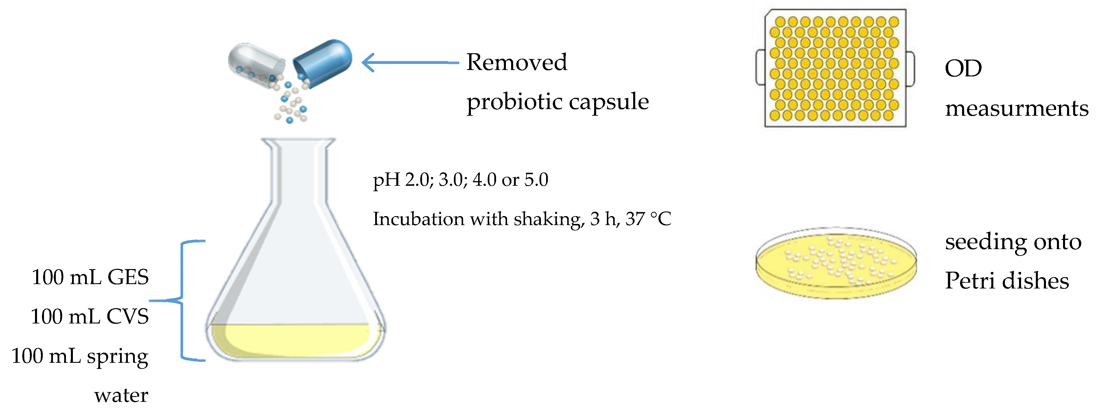 Ijerph 18 01108 g001 Ijerph 18 01108 g001