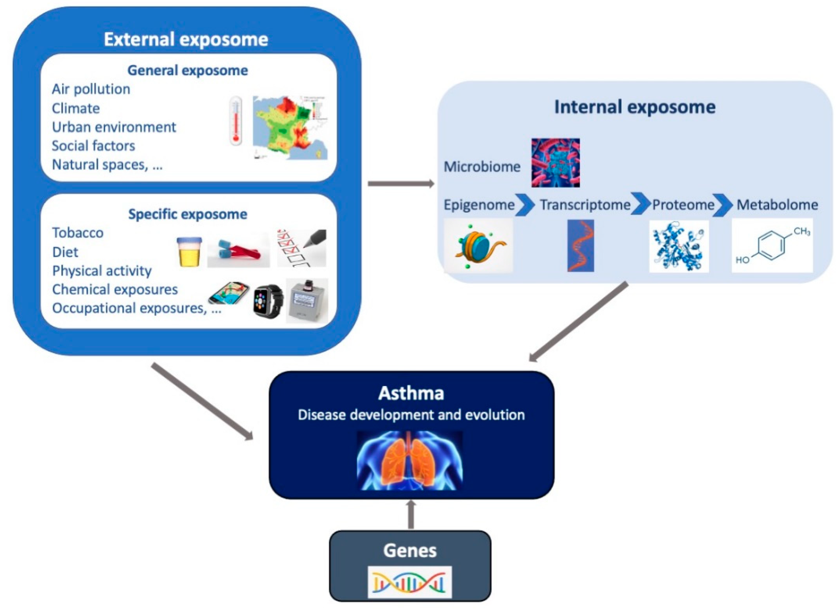 Ijerph 18 01138 g001 Ijerph 18 01138 g001