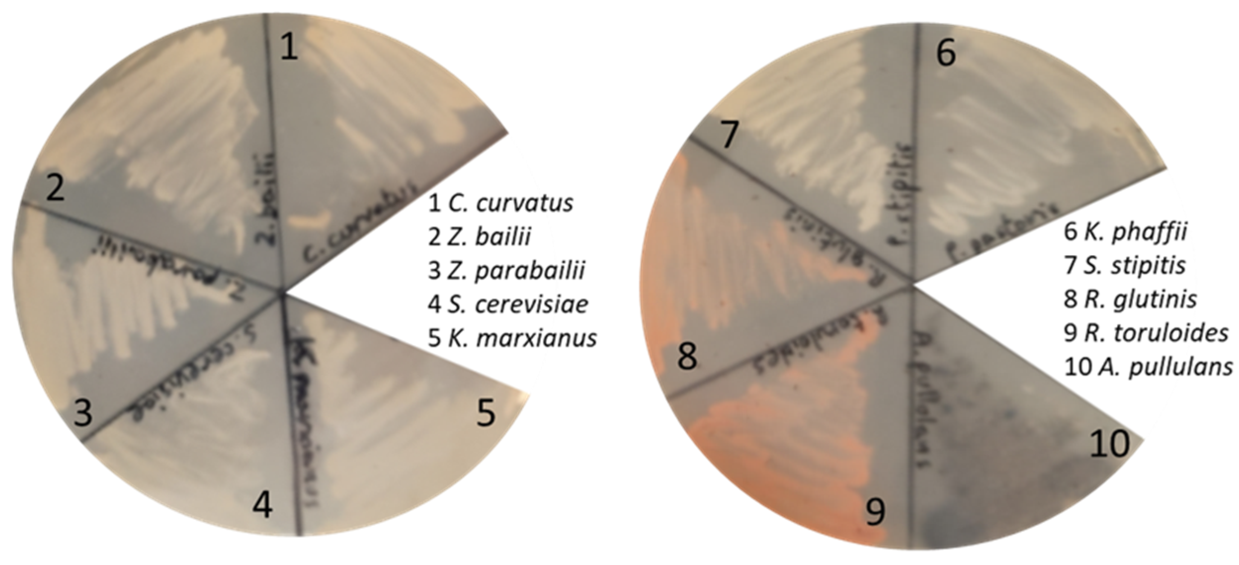 Ijerph 18 01146 g003