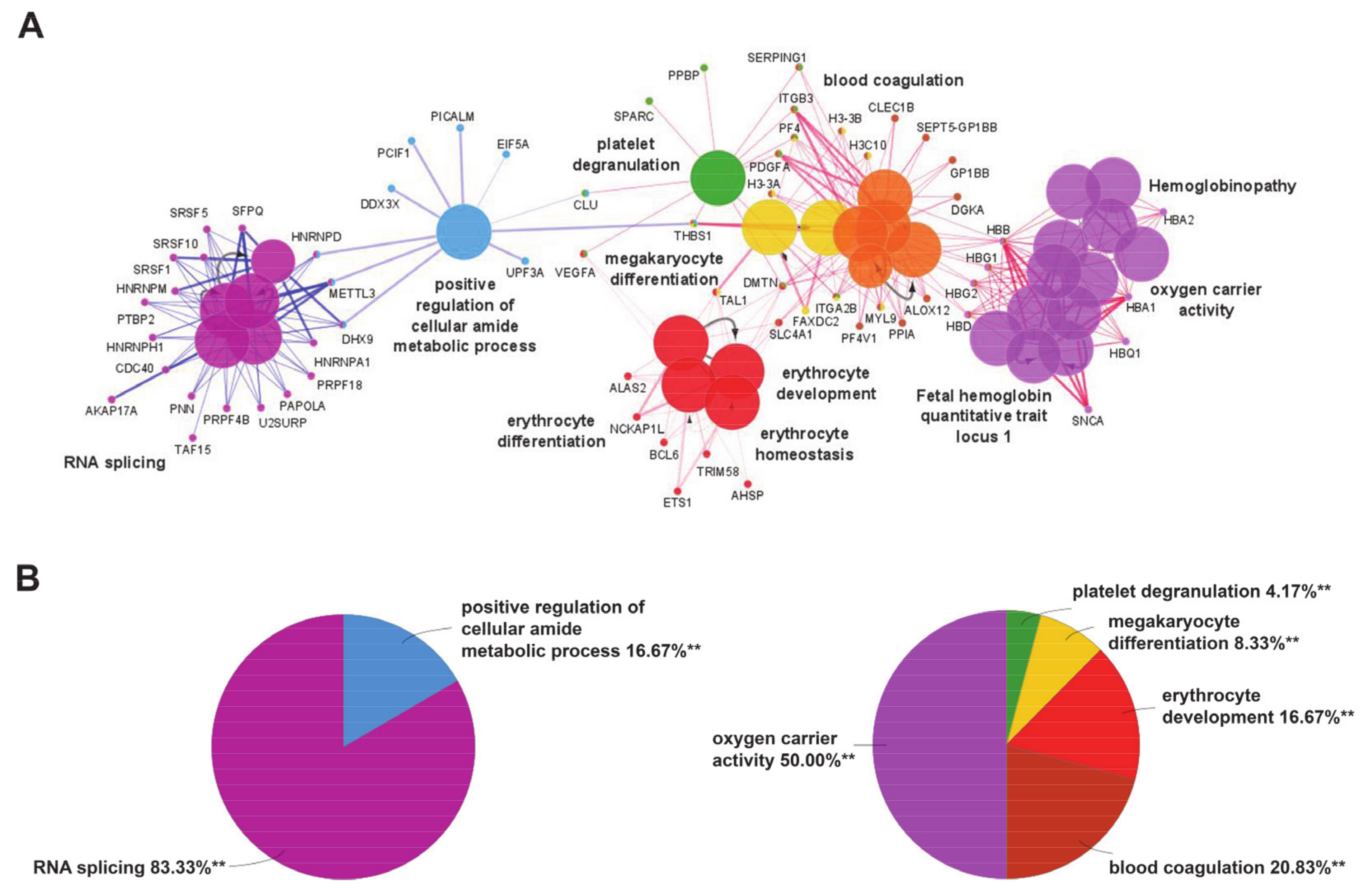 Ijerph 18 01170 g001 Ijerph 18 01170 g001