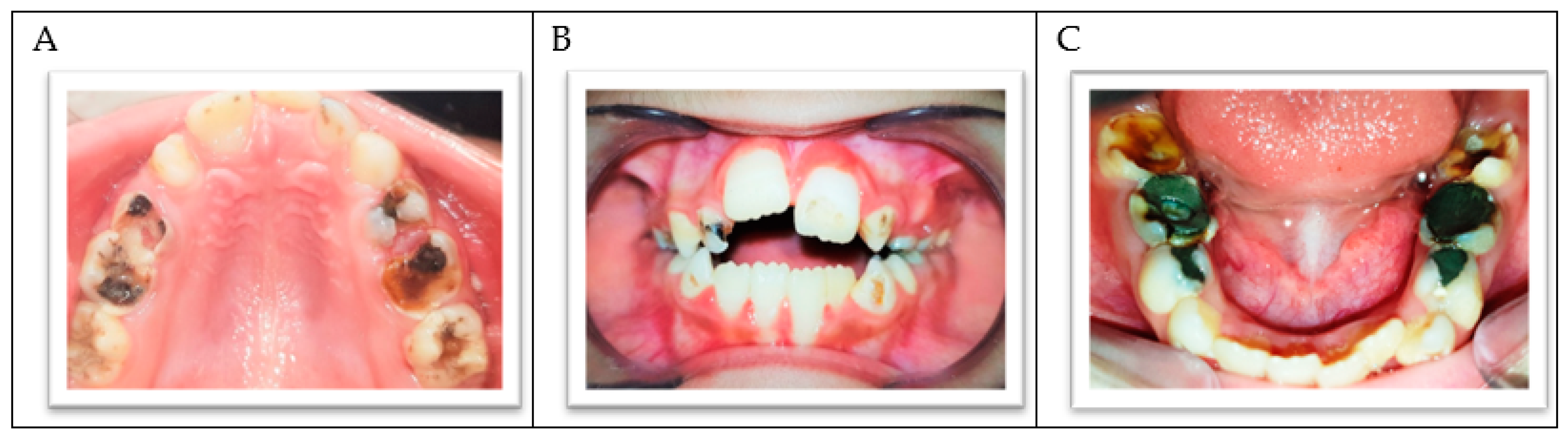 Ijerph 18 01209 g002