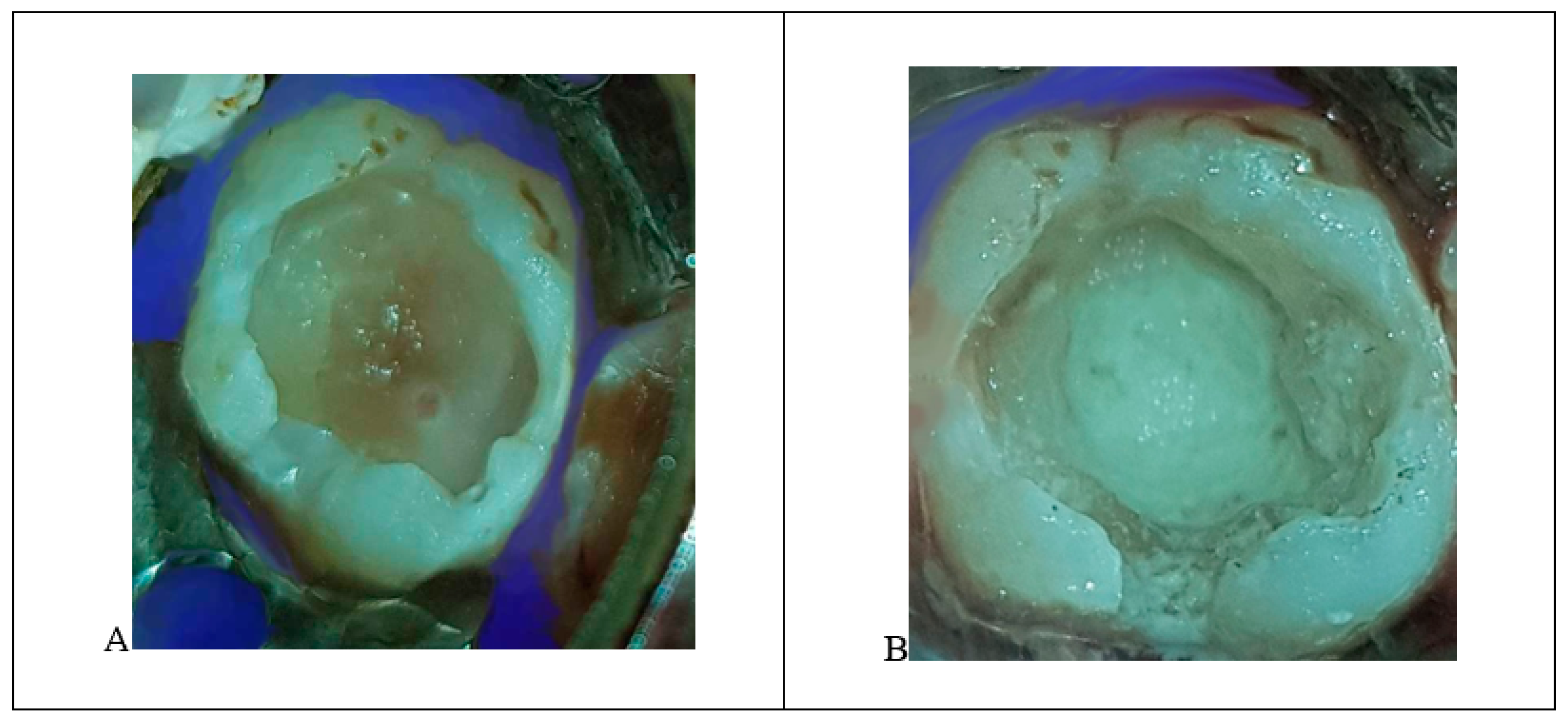 Ijerph 18 01209 g006