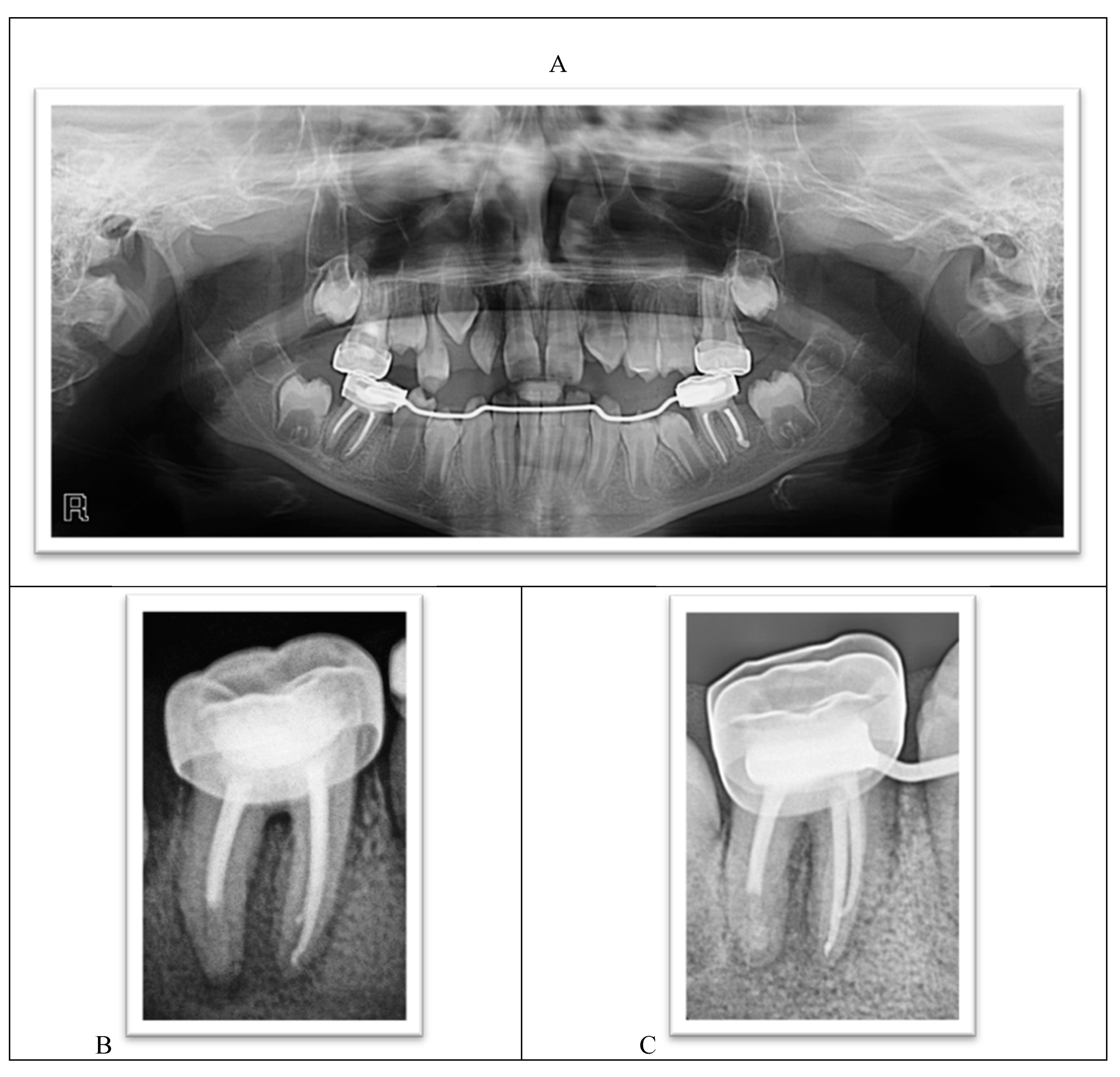 Ijerph 18 01209 g010a