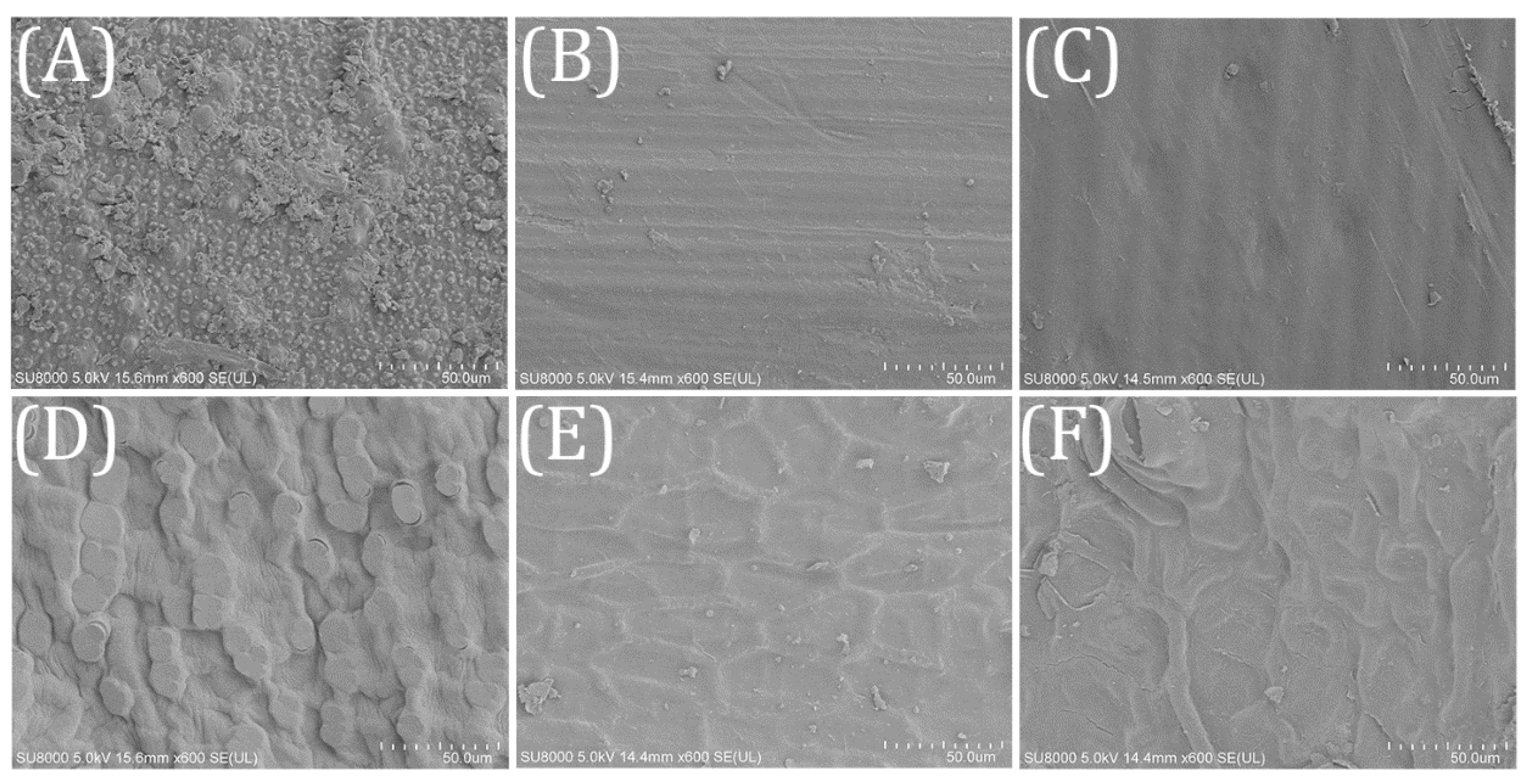 Ijerph 18 01232 g002