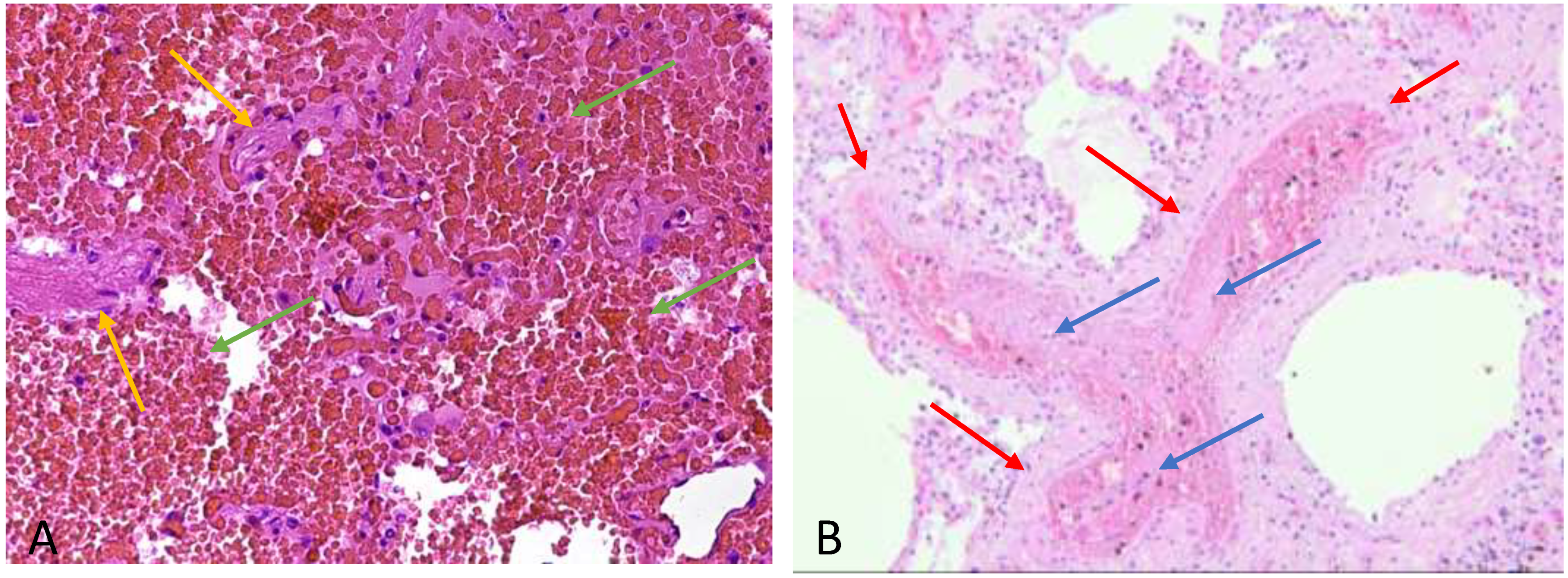 Ijerph 18 01268 g002