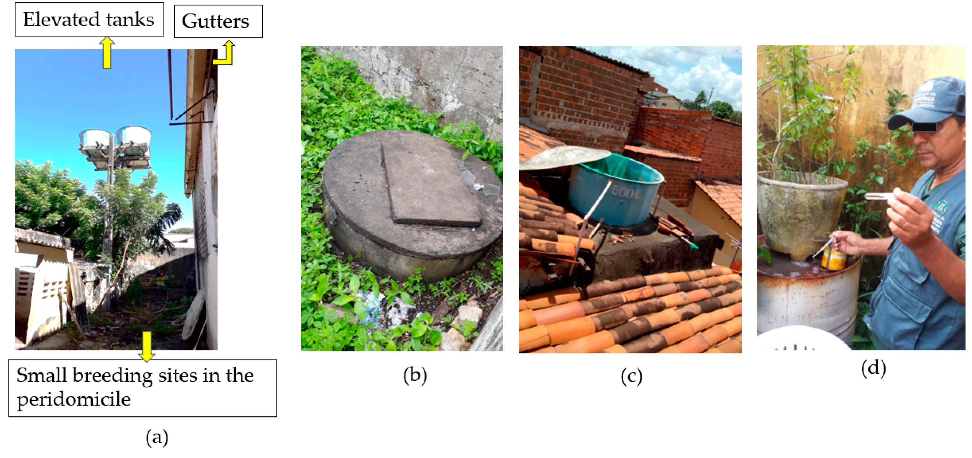 Ijerph 18 01278 g004