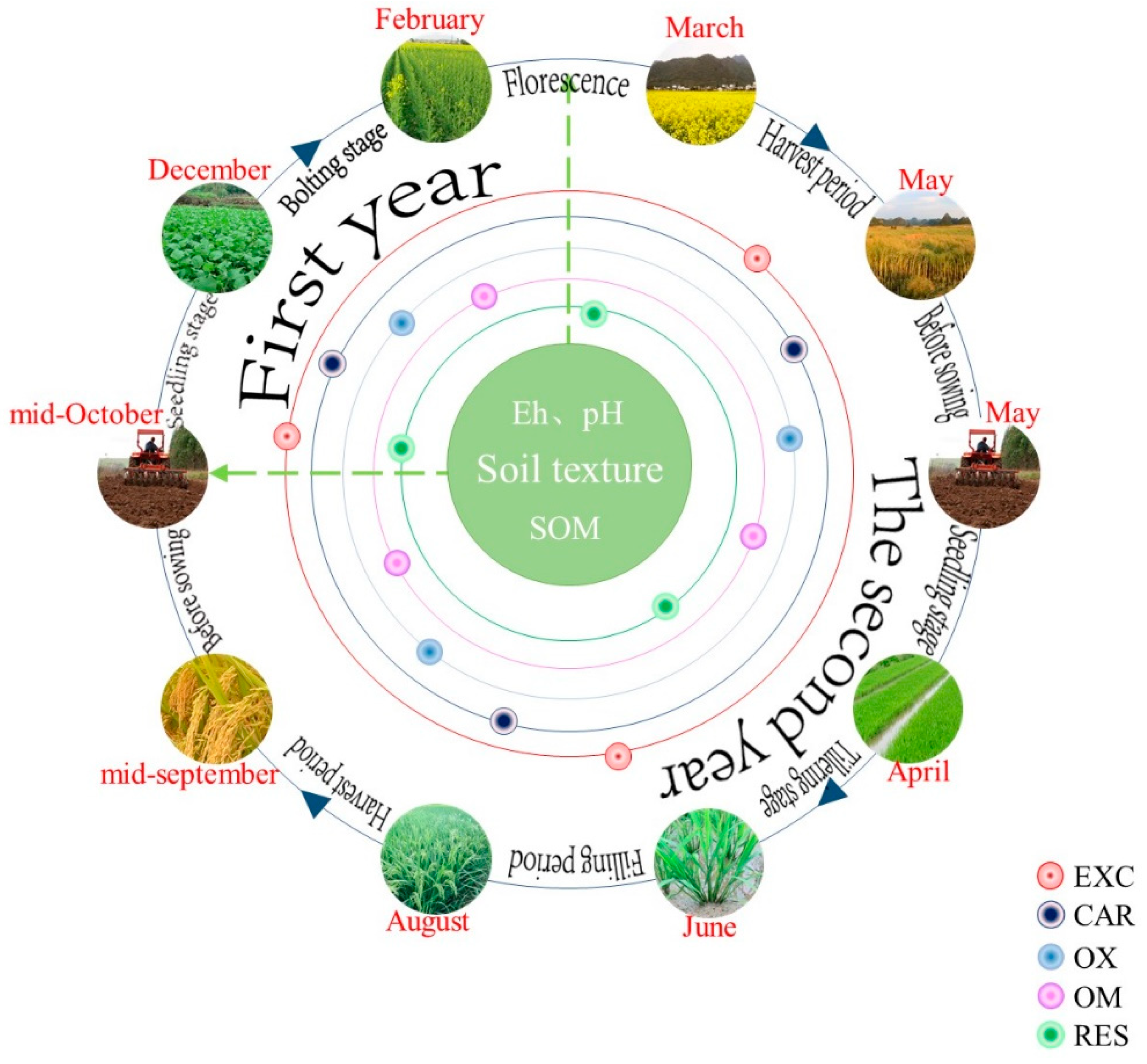 Ijerph 18 01364 g001 Ijerph 18 01364 g001
