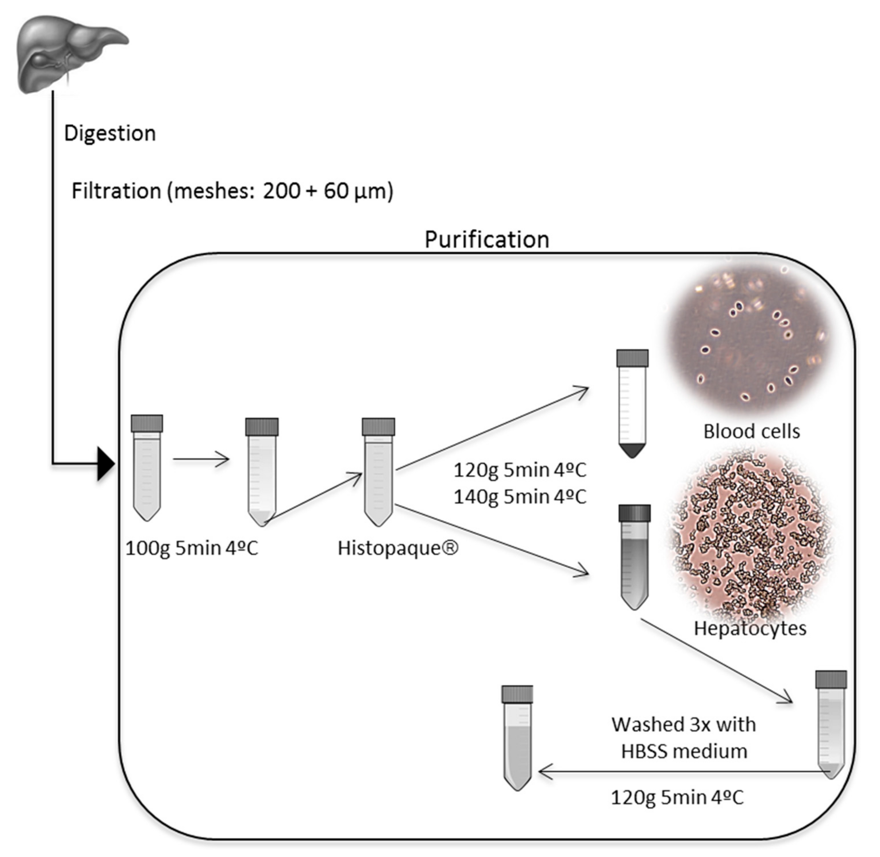 Ijerph 18 01380 g002 Ijerph 18 01380 g002