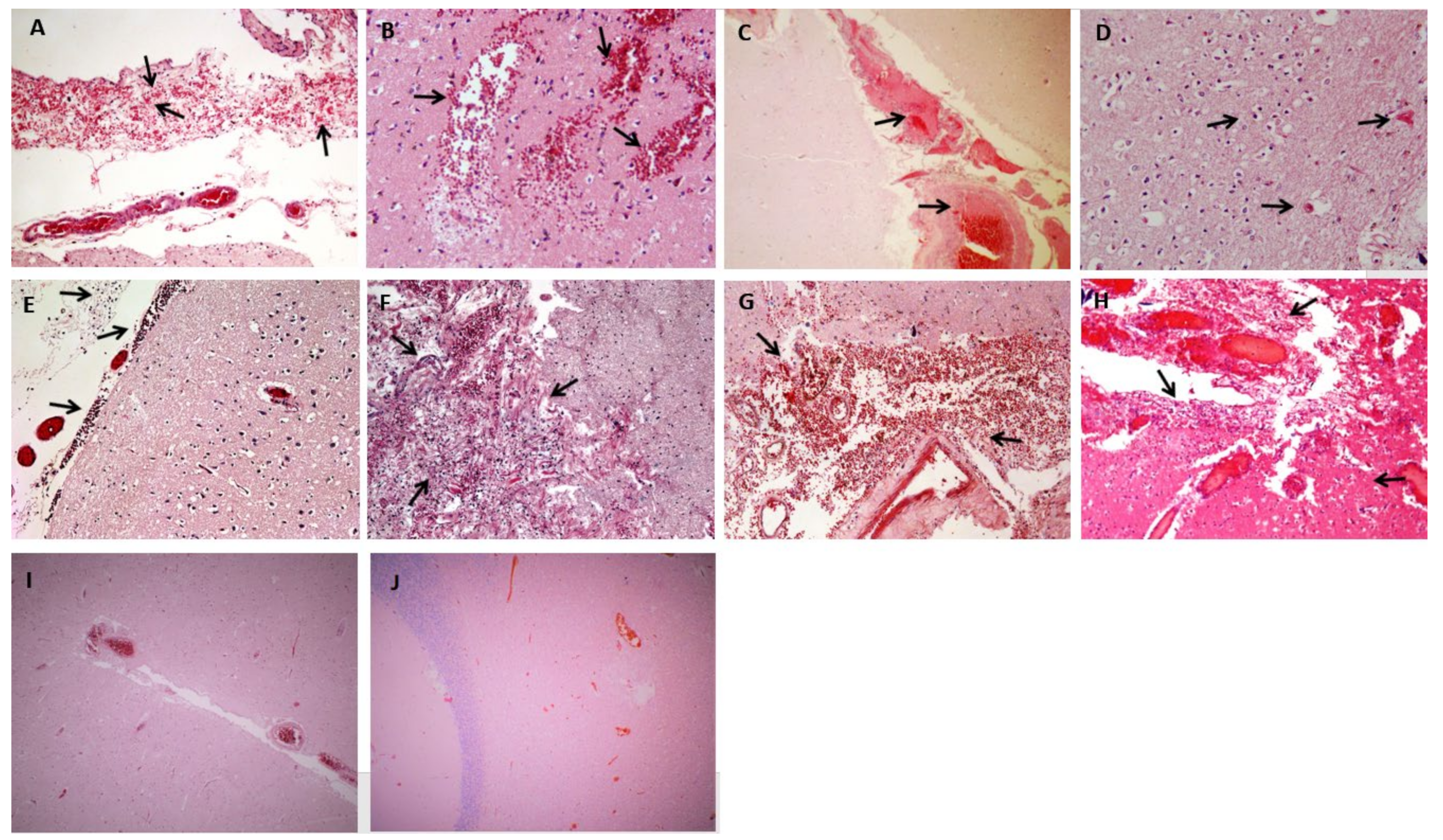 Ijerph 18 01415 g002