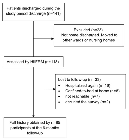 IJERPH Free FullText Performance of the Hendrich Fall Risk Model