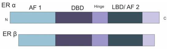 Ijerph Free Full Text Endocrine Disruptors Acting On Estrogen And Androgen Pathways Cause Reproductive Disorders Through Multiple Mechanisms A Review Html