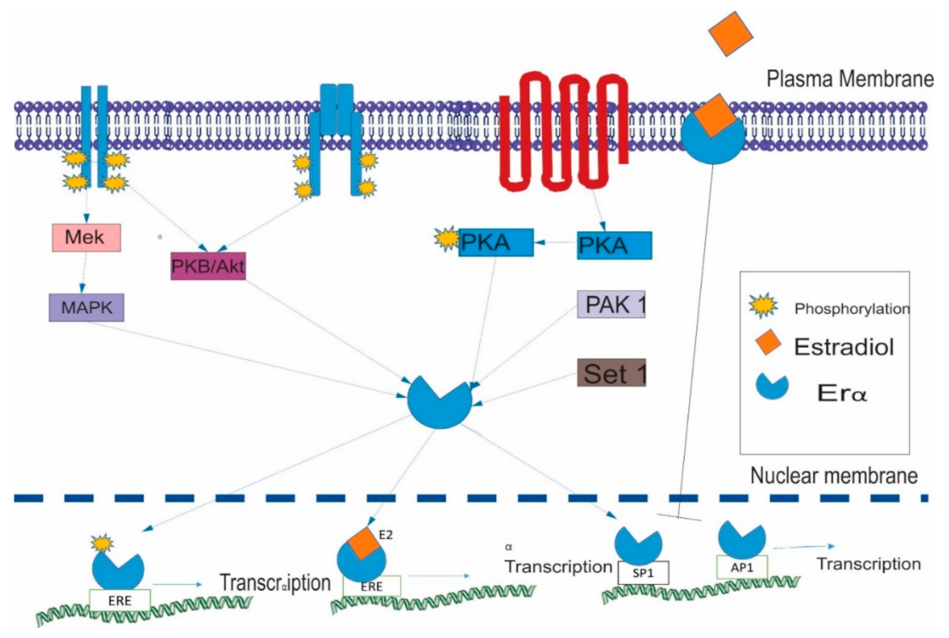 Ijerph 18 01464 g002