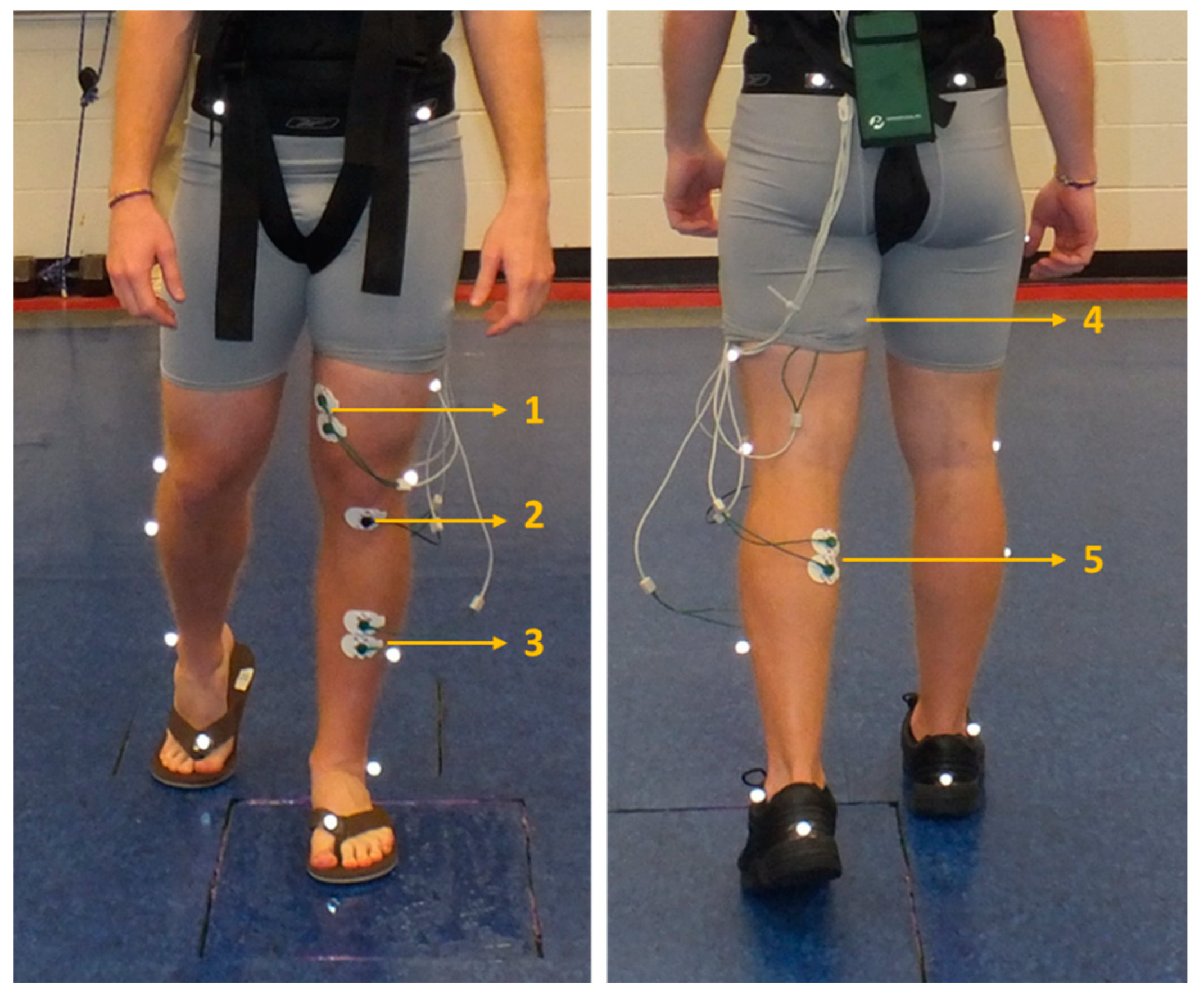 Ijerph 18 01533 g002