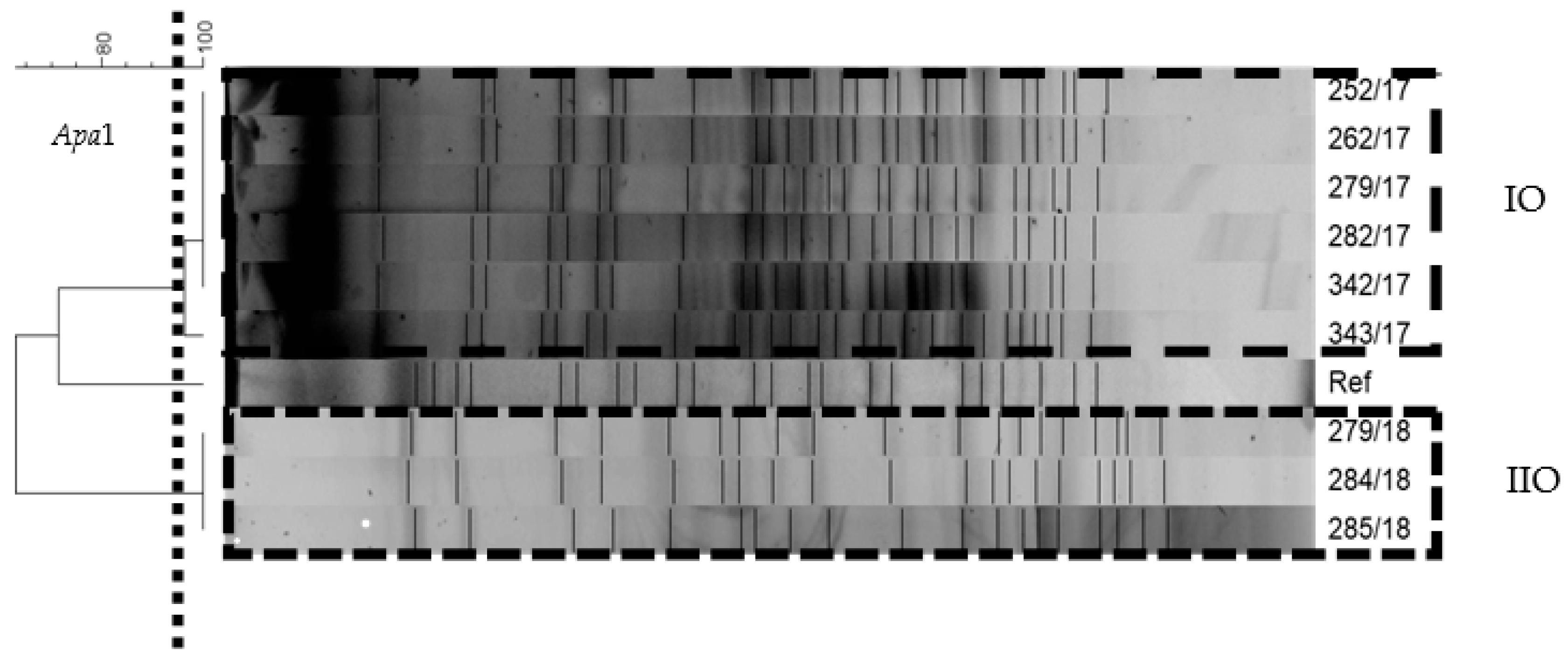 Ijerph 18 01563 g002