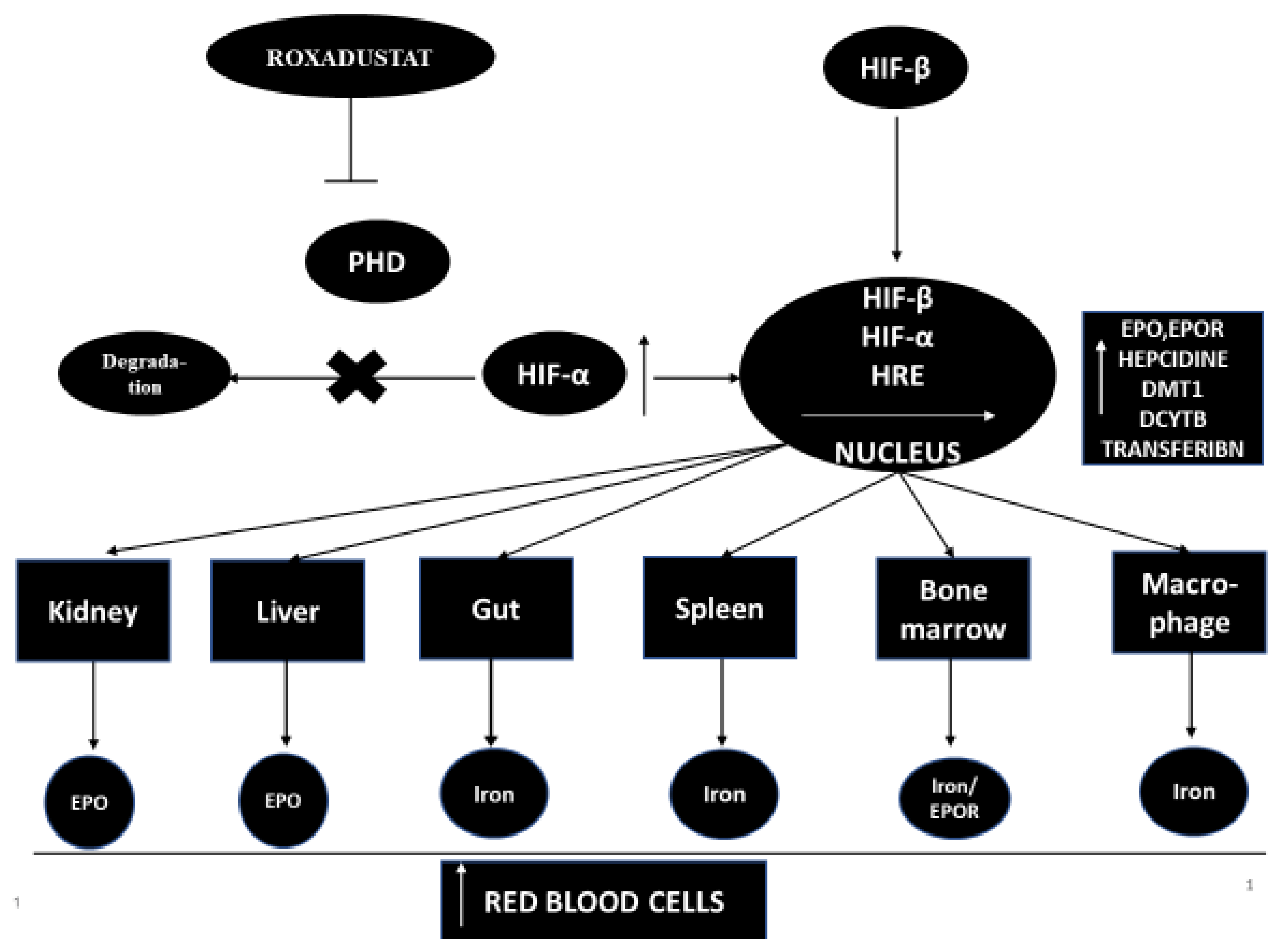 Ijerph 18 01612 g001 Ijerph 18 01612 g001