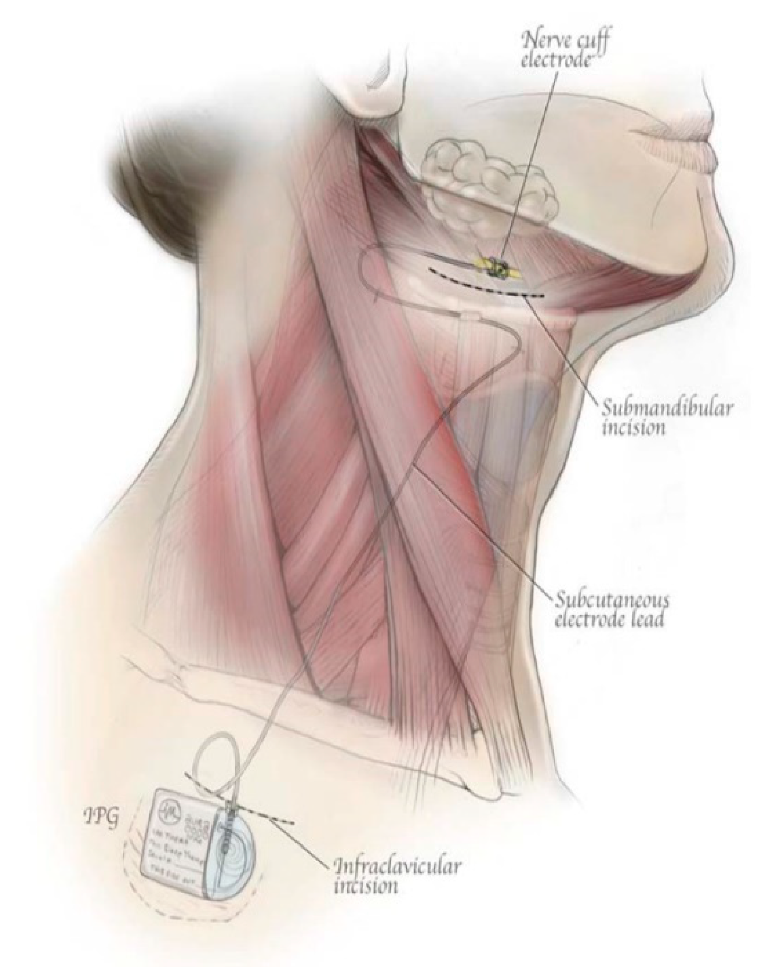 Ijerph 18 01642 g002