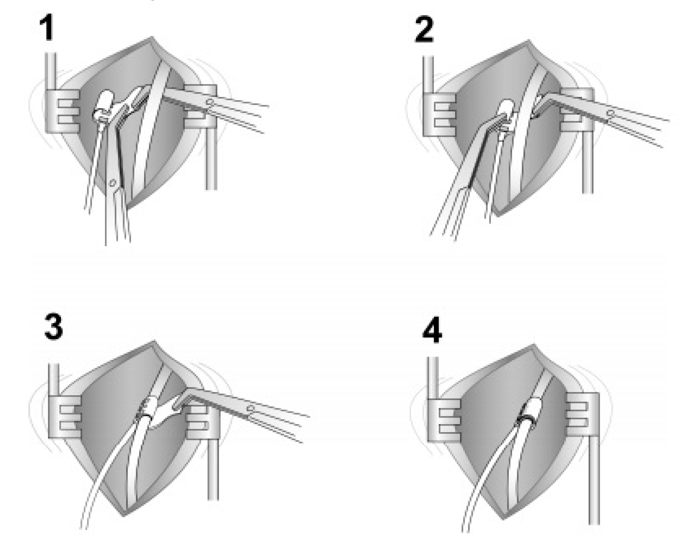 Ijerph 18 01642 g009