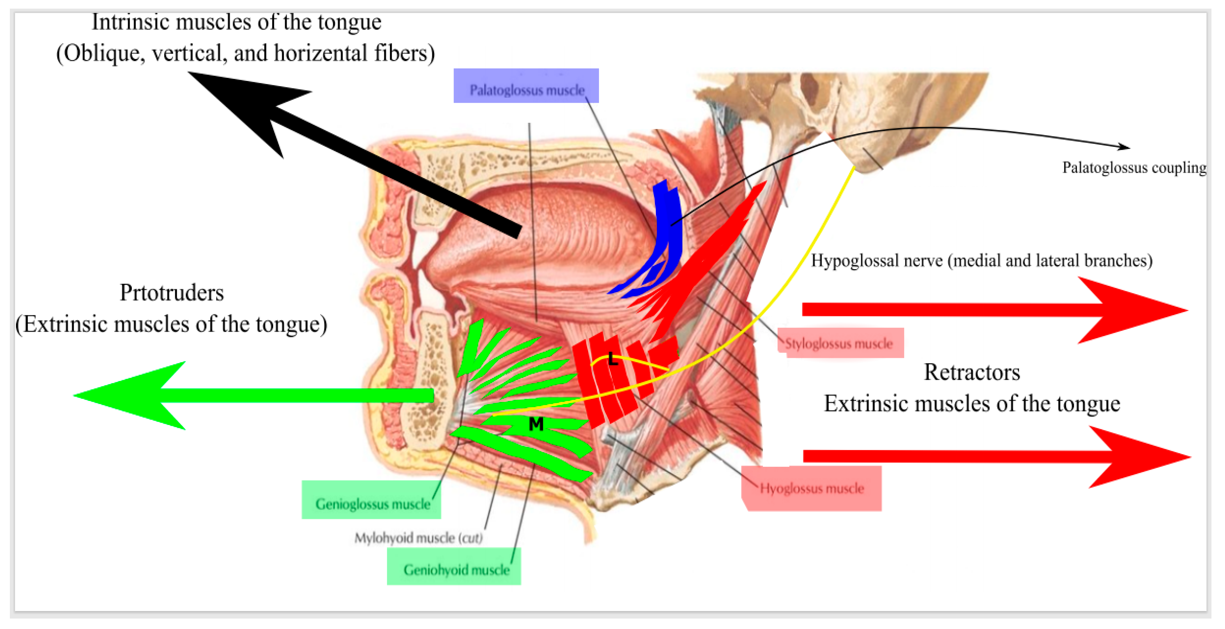 Ijerph 18 01642 g010