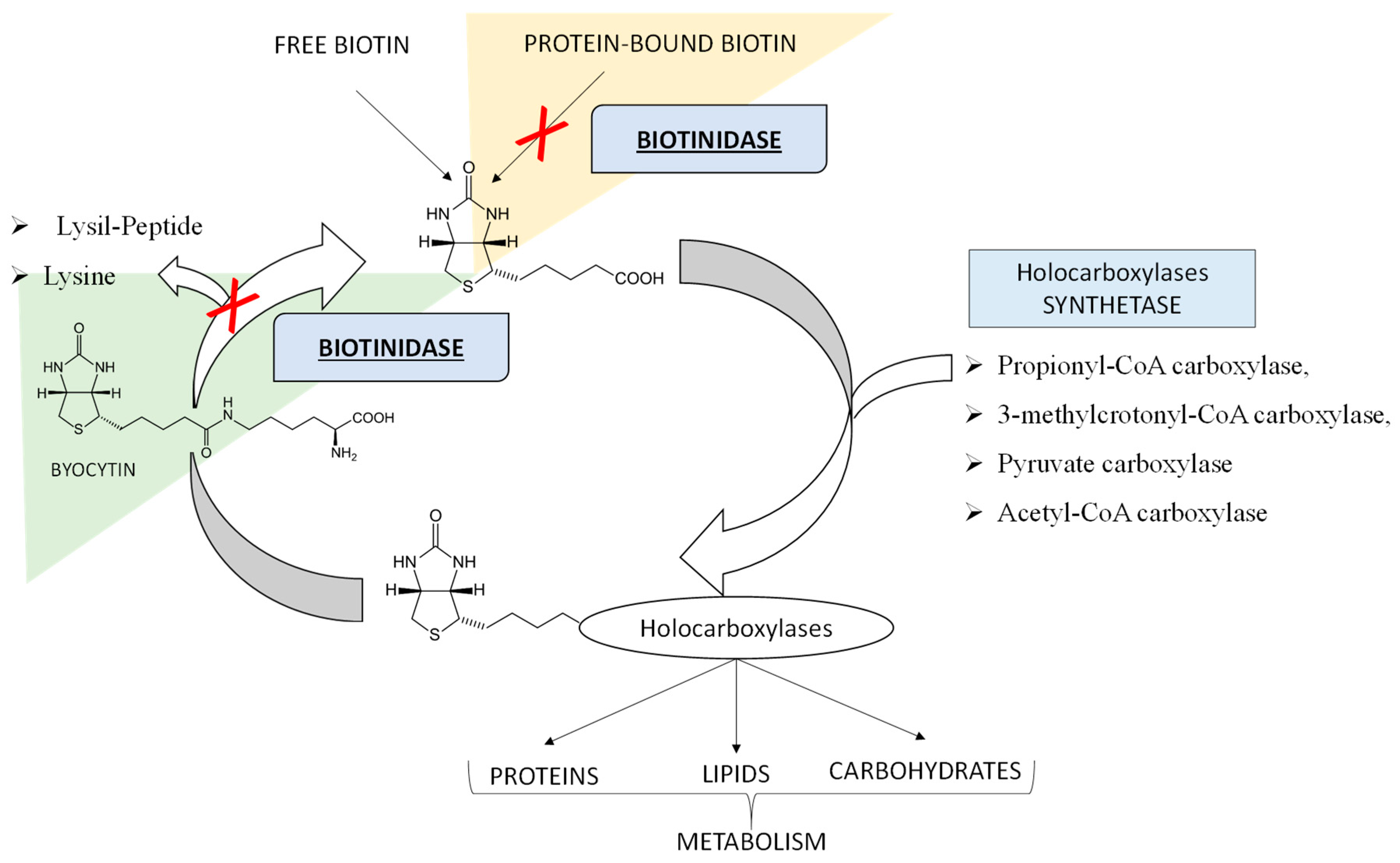 Ijerph 18 01659 g001 Ijerph 18 01659 g001