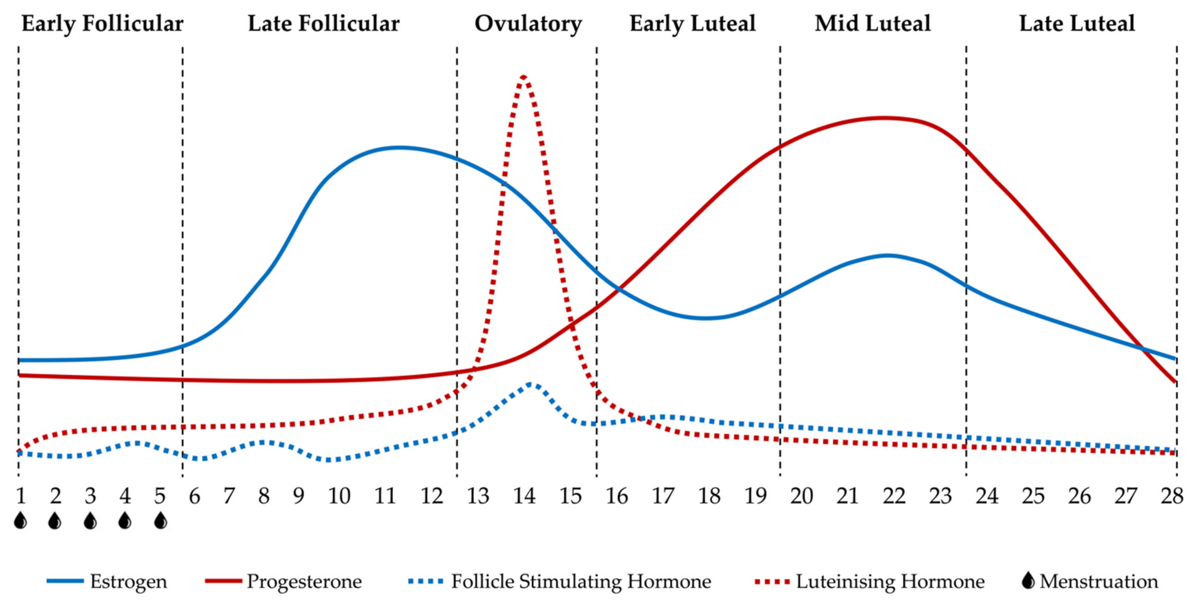 IJERPH Free Full-Text The Impact of Menstrual Cycle Phase on Athletes Performance A Narrative Review