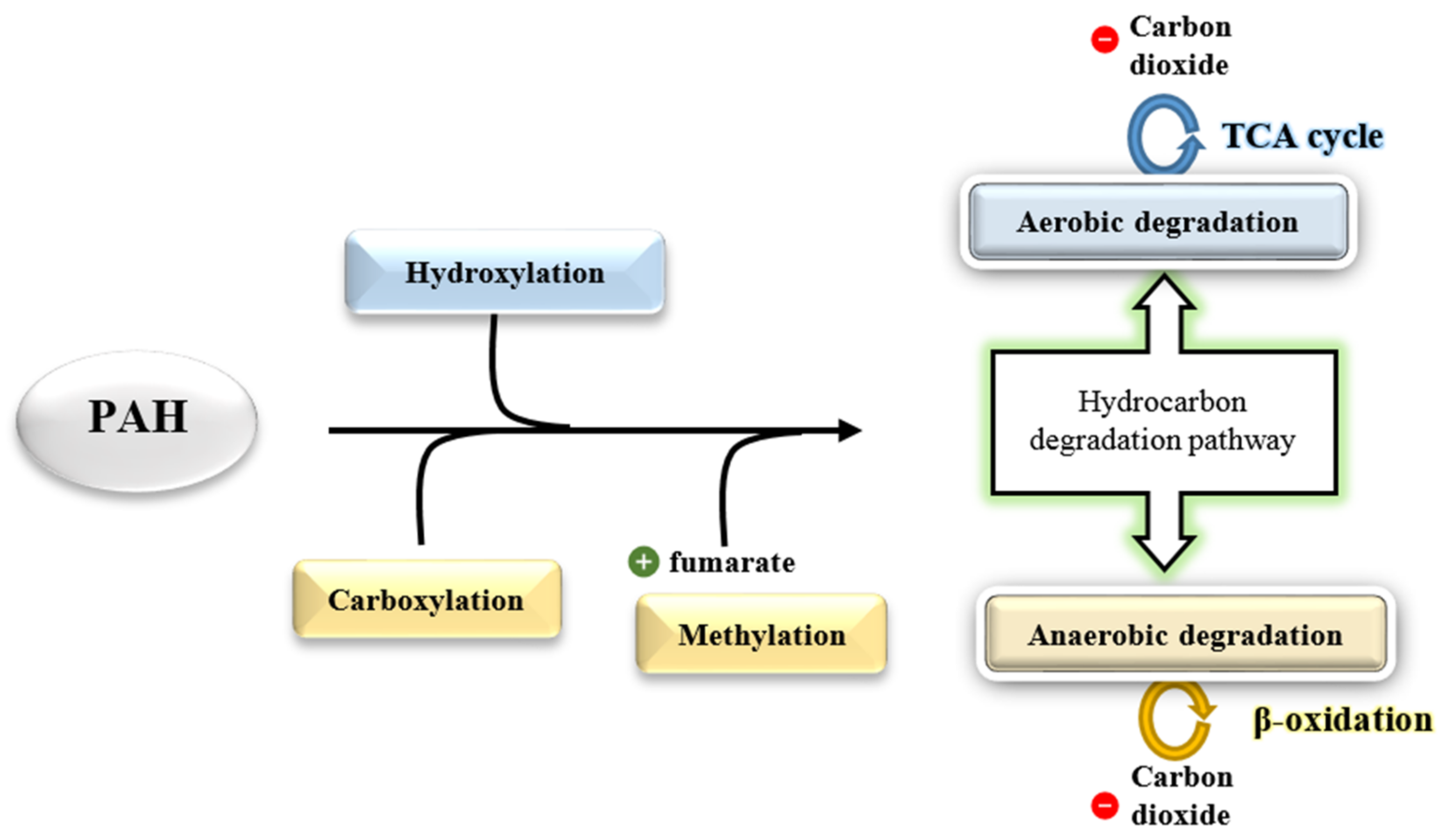 Ijerph 18 01671 g008 Ijerph 18 01671 g008