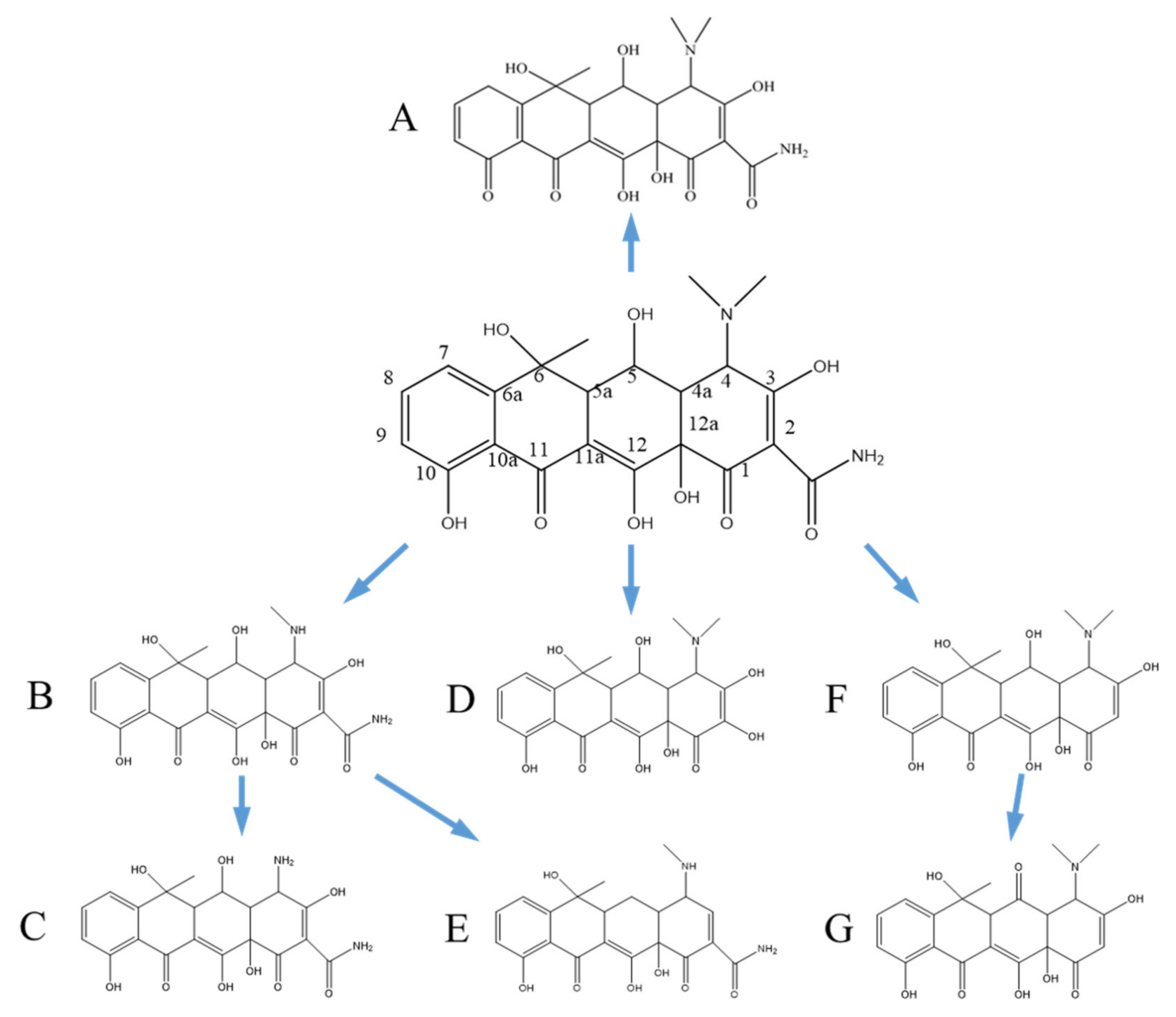 Ijerph 18 01708 g013 Ijerph 18 01708 g013