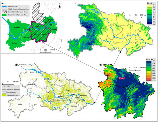 ma fenvs-10-1091898-g001.jpg